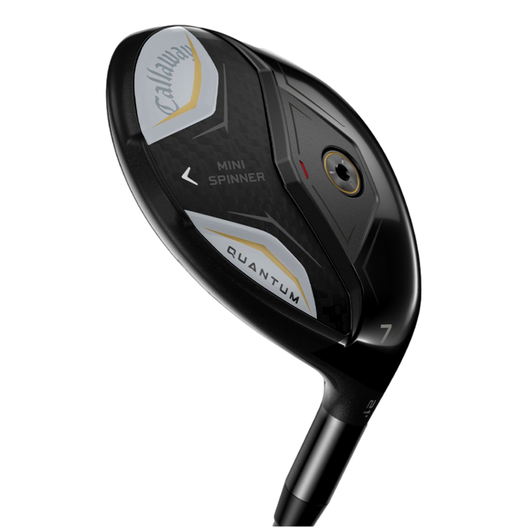 Quantum Mini Spinner Fairway