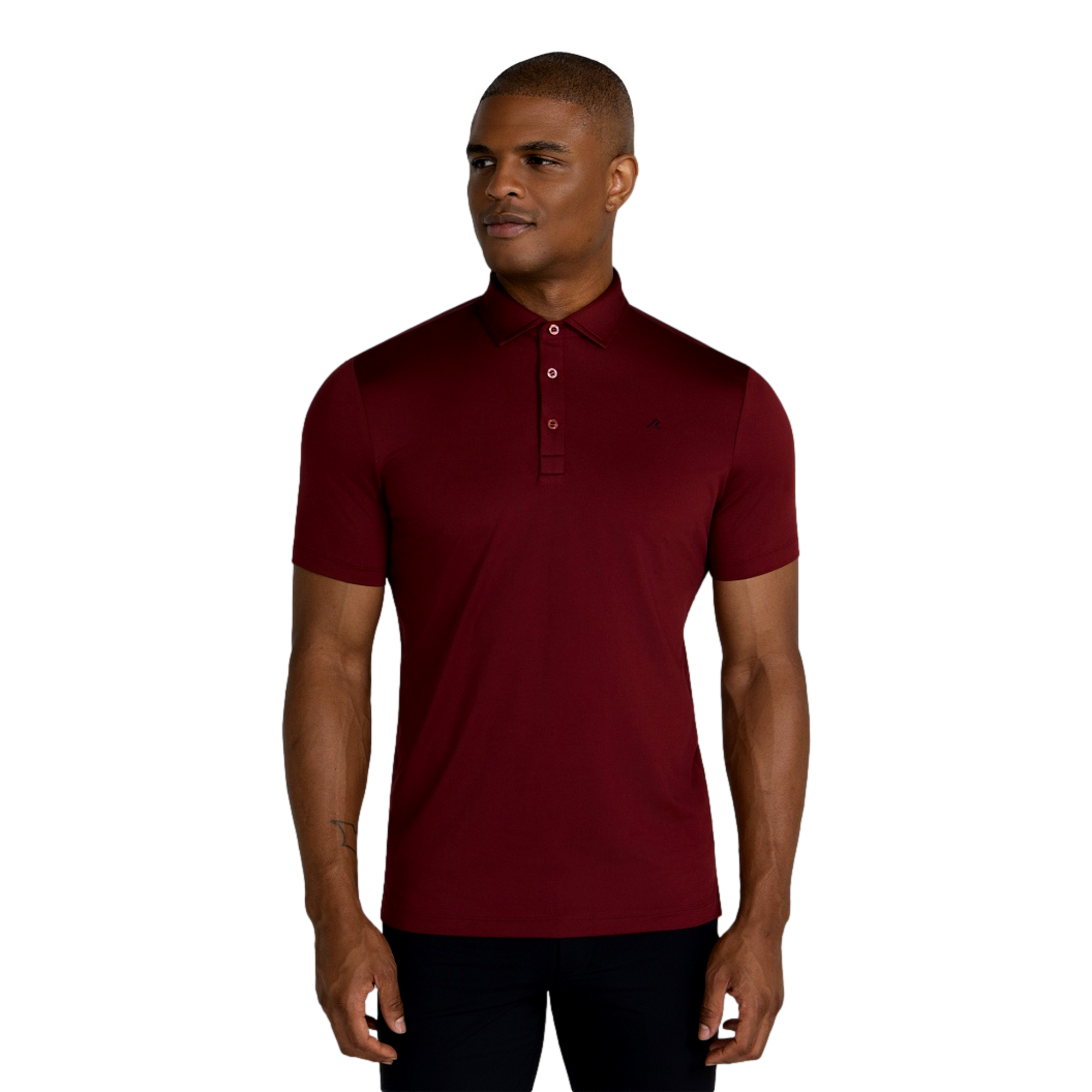 Alpine Men's Golf Polo Shirt