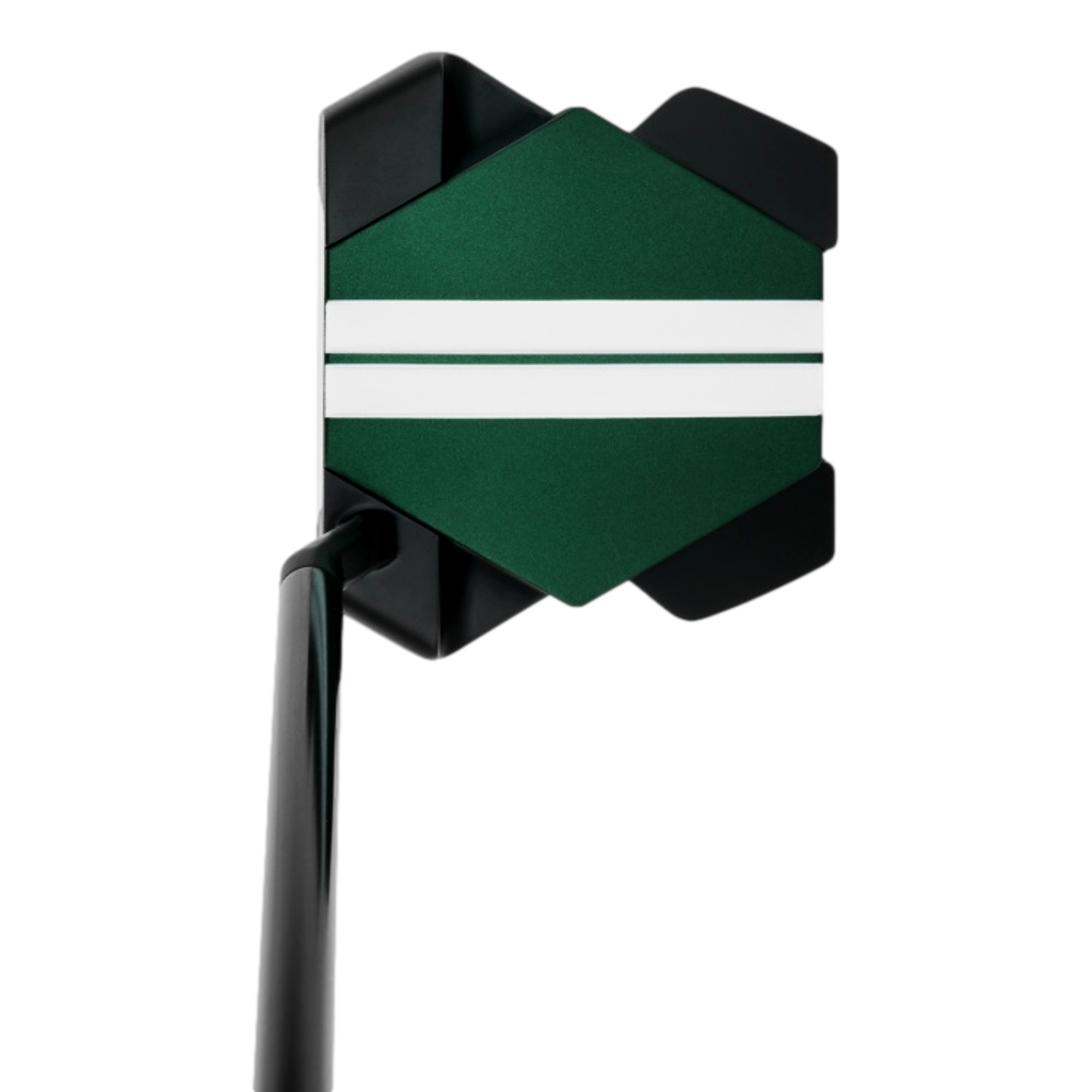 TRTL Slant Neck Putter