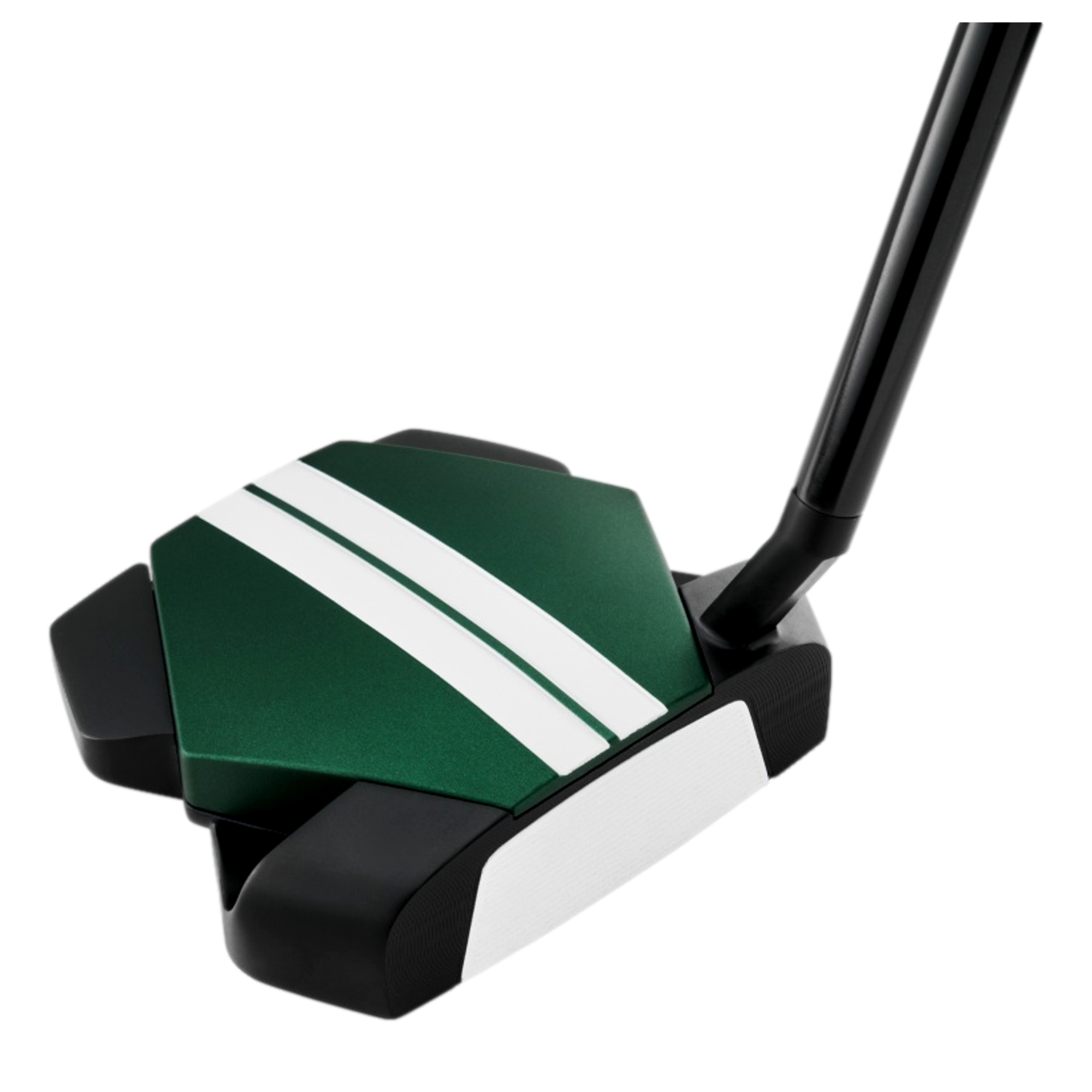 TRTL Slant Neck Putter