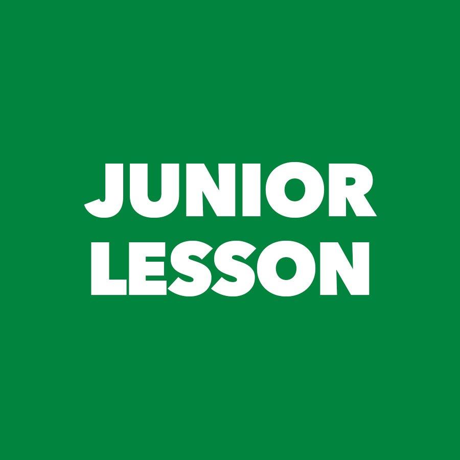 Junior 45-Minute Lesson (ages 13-18)
