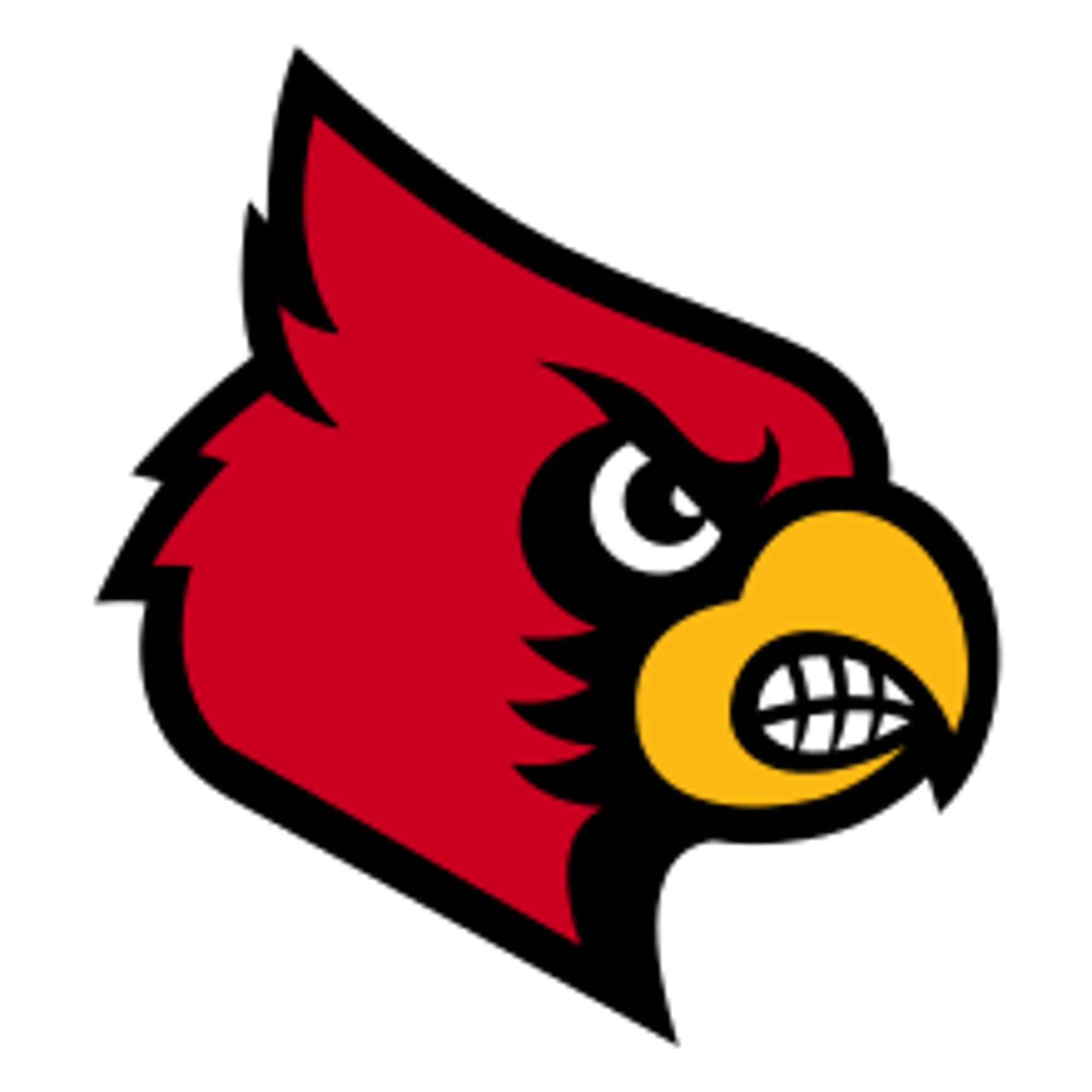 University of Louisville