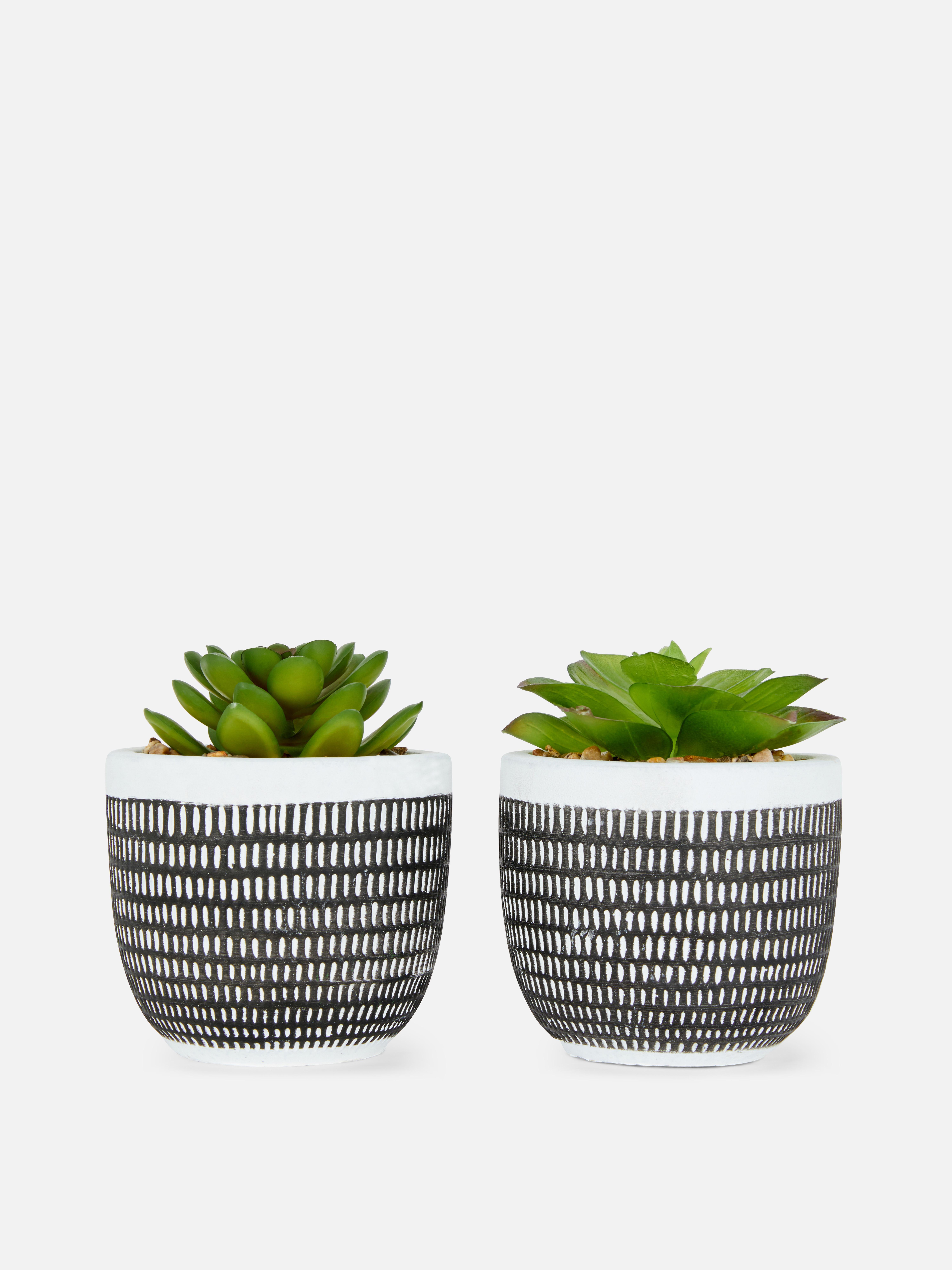 2pk Faux Succulent Potted Plants Primark