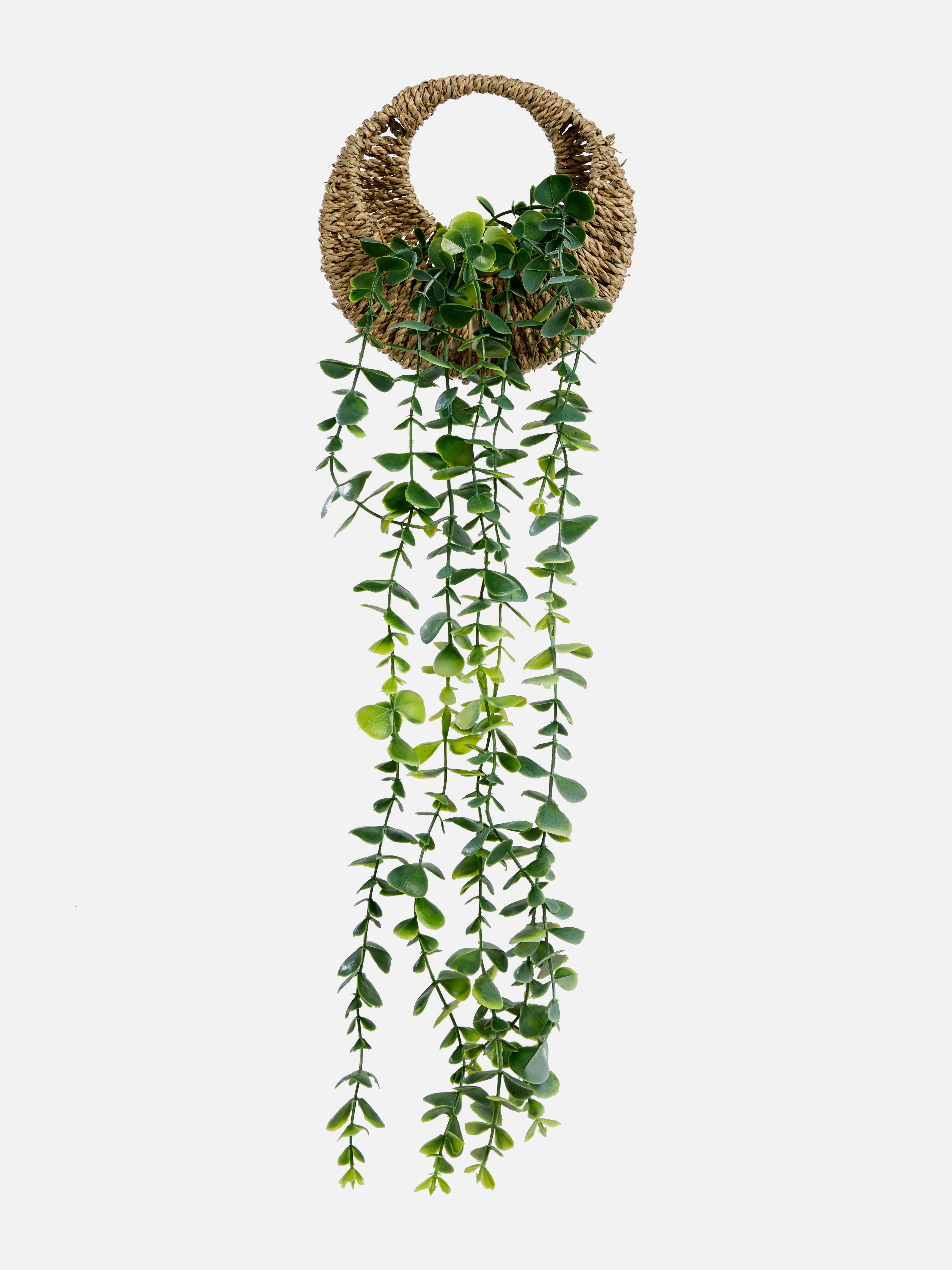 Plant Pots & Stands Primark