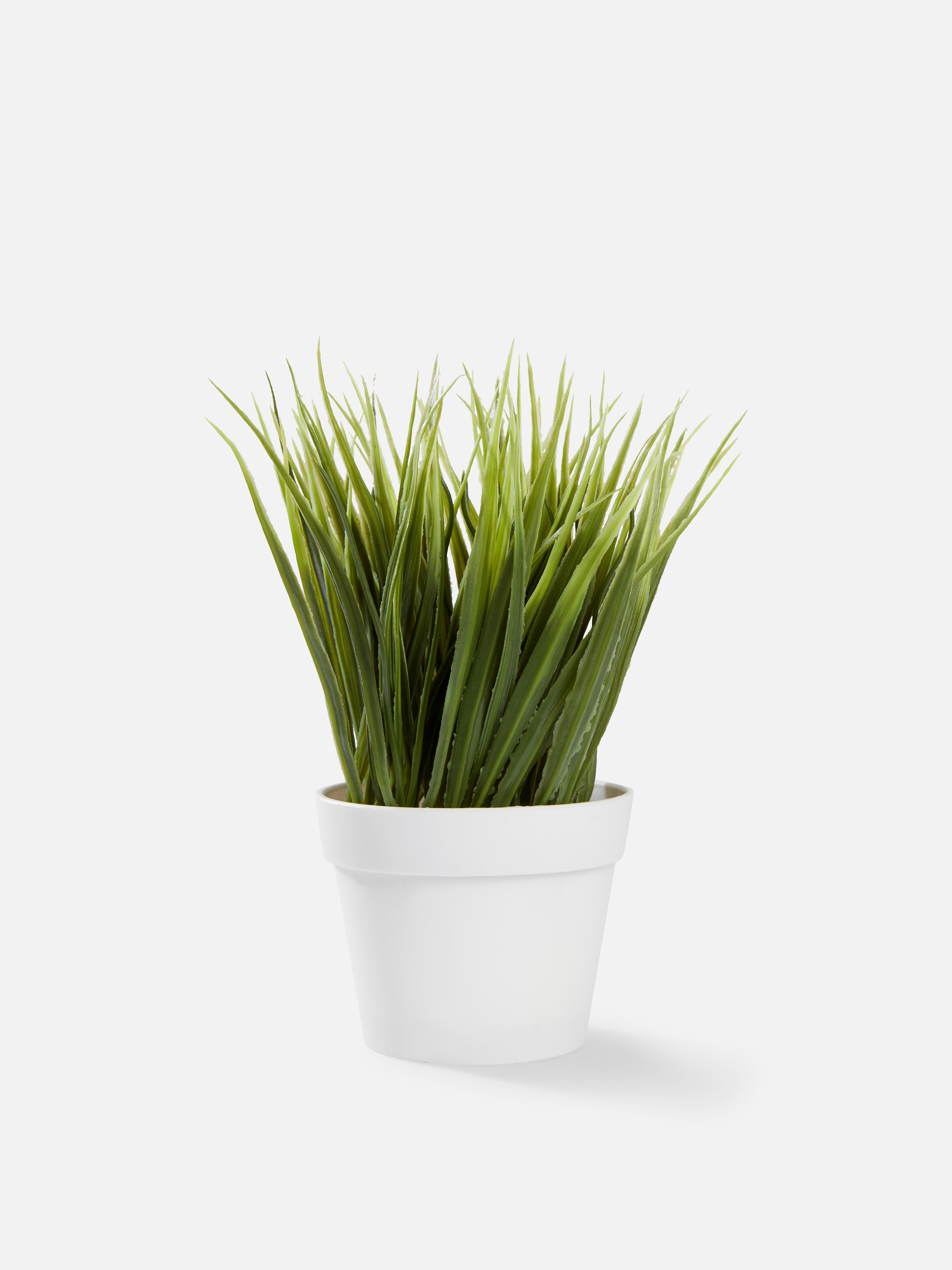 Indoor & Outdoor Artificial Flowers & Plants Primark