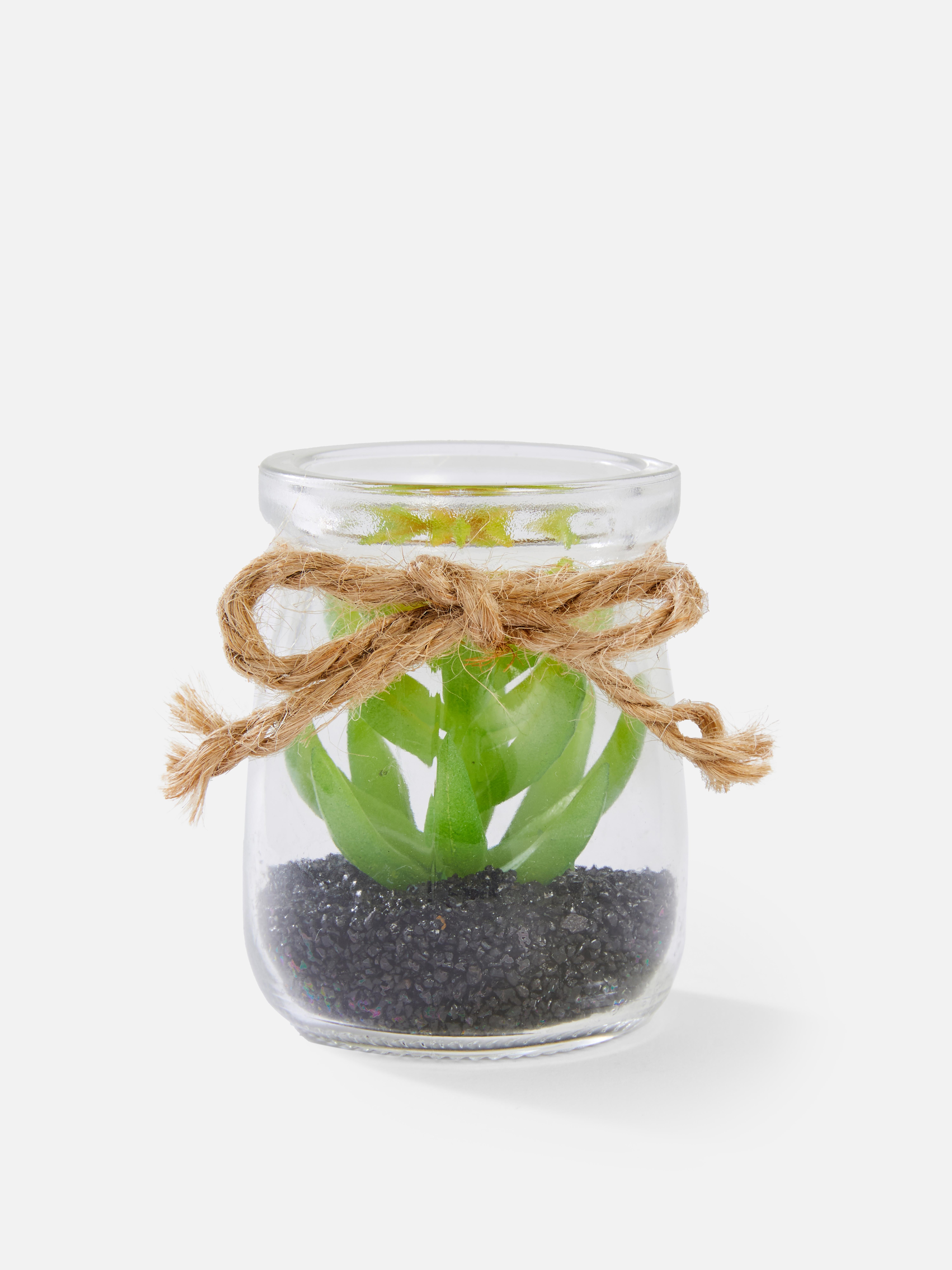 Mini Glass Faux Succulents