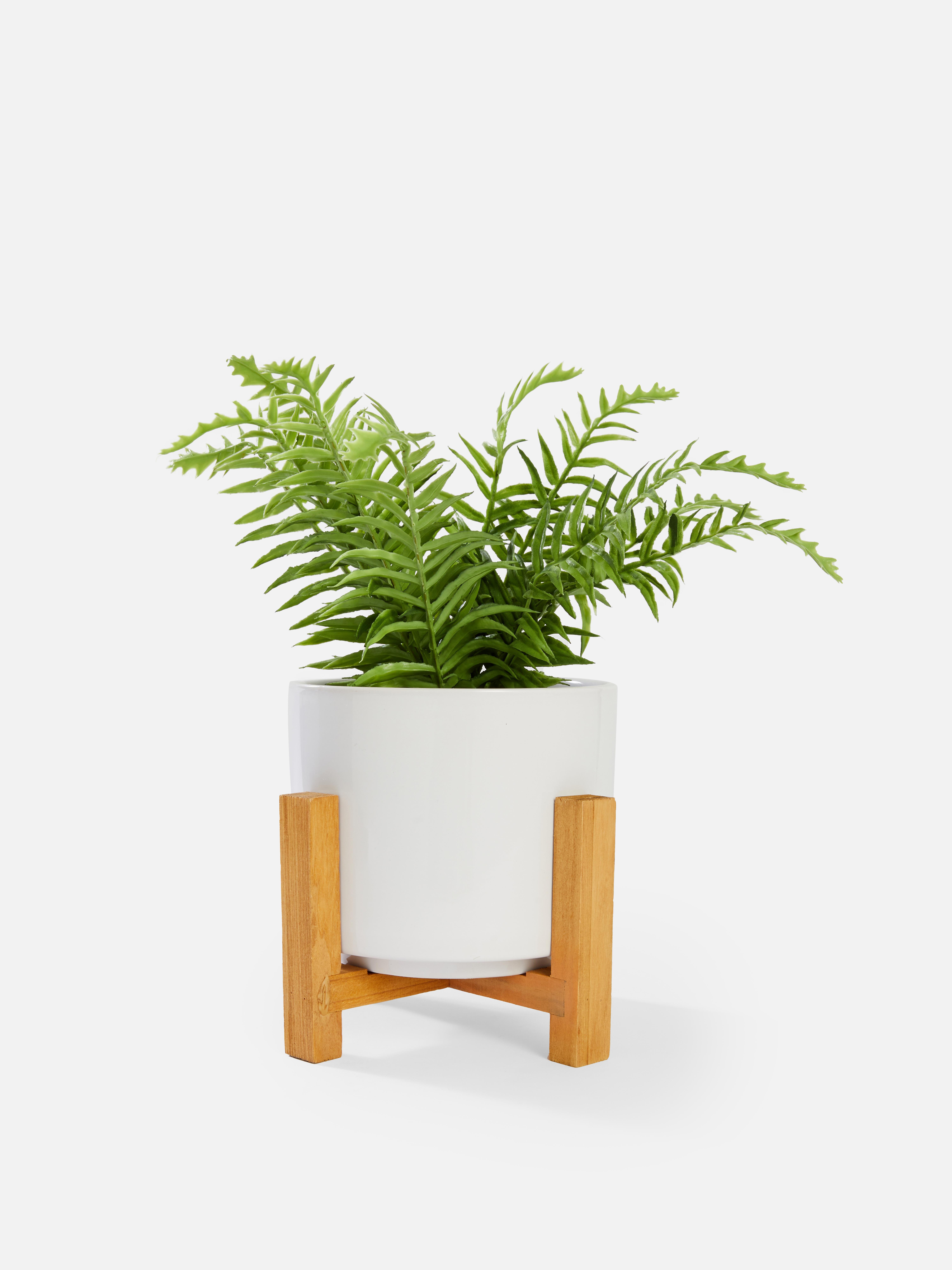 Plant Pots & Stands Primark