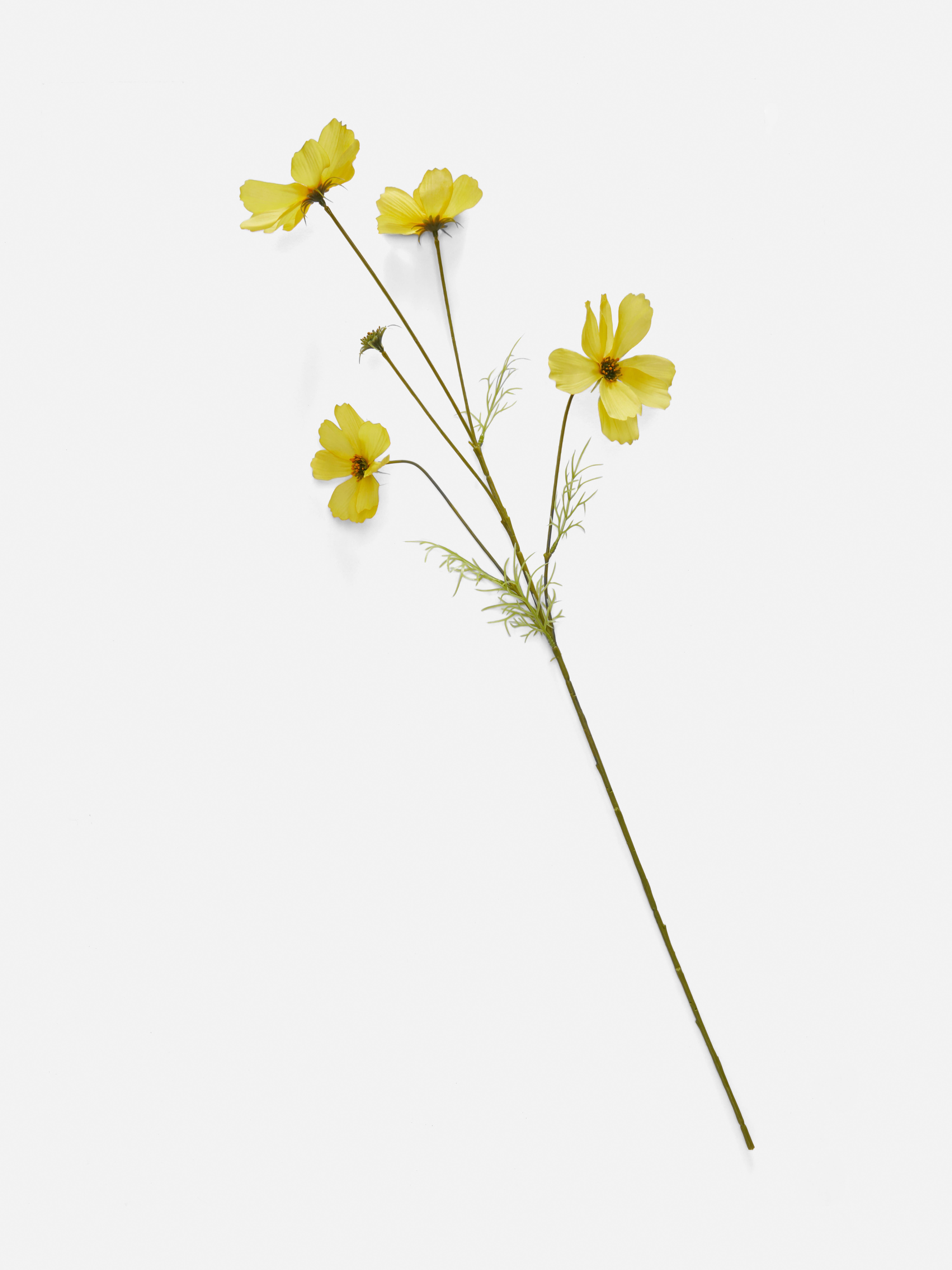 Indoor & Outdoor Artificial Flowers & Plants Primark