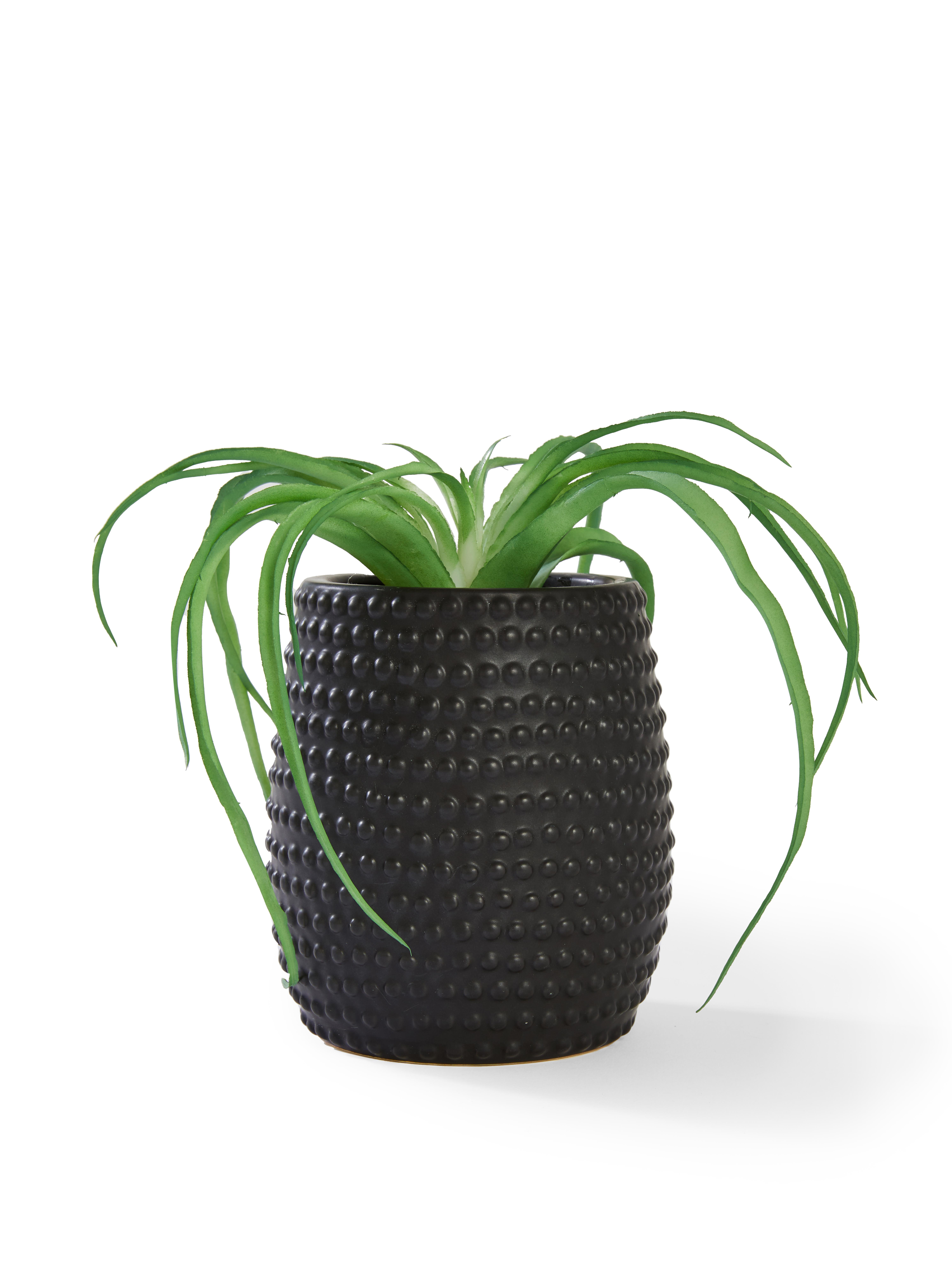 Faux Spider Plant in Textured Pot