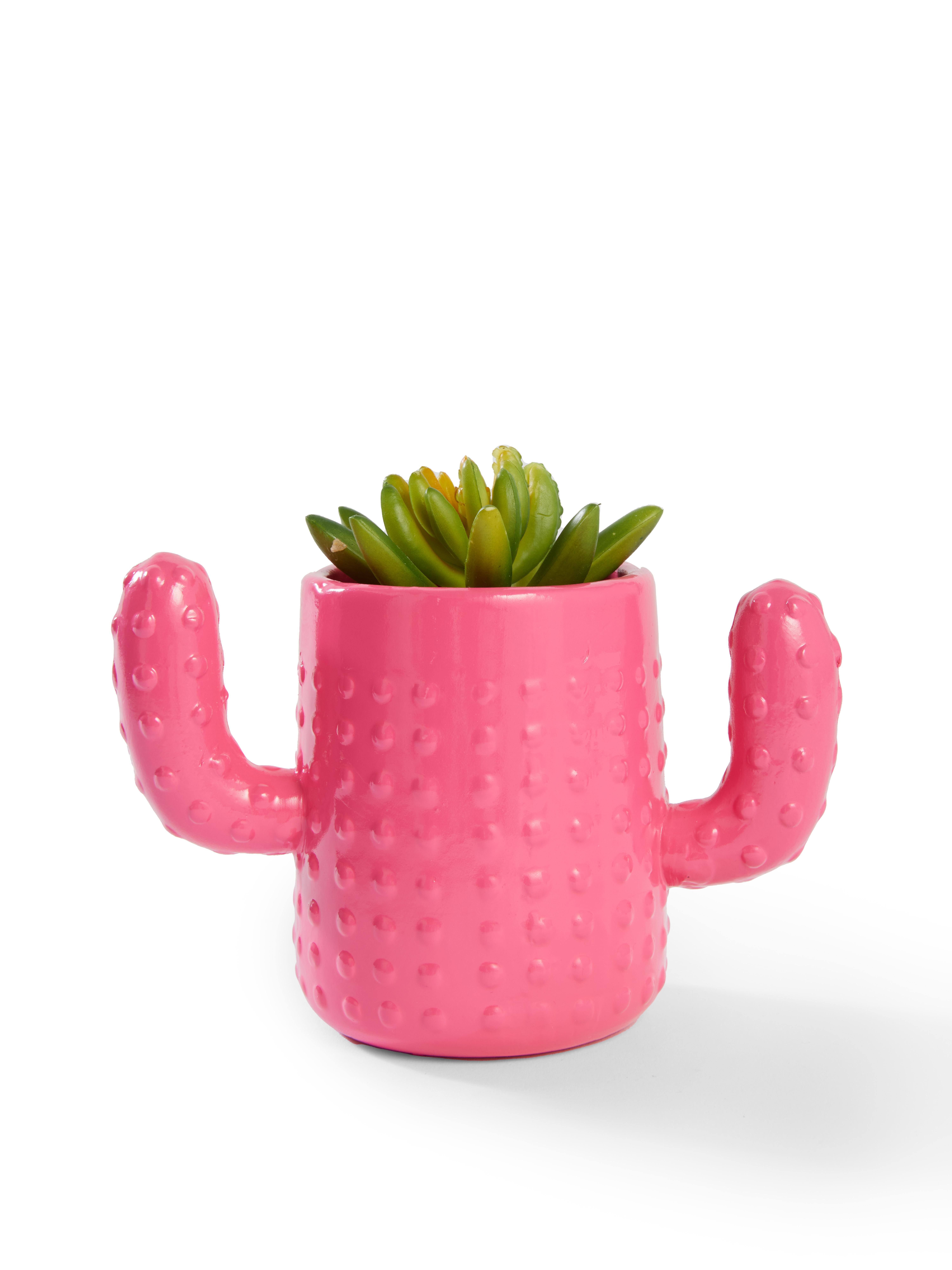 Plant Pots & Stands Primark