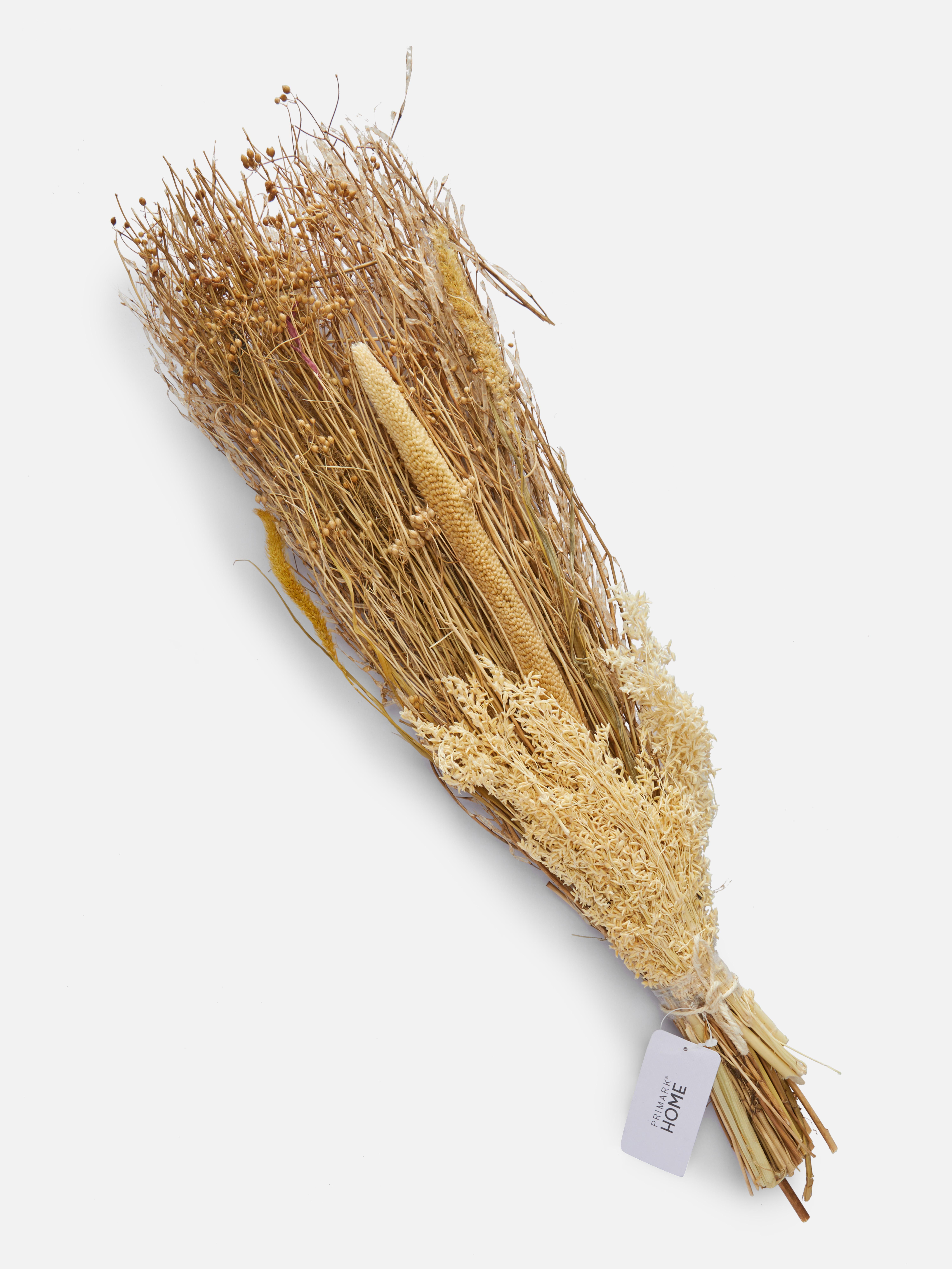 Faux Plants & Flowers Primark