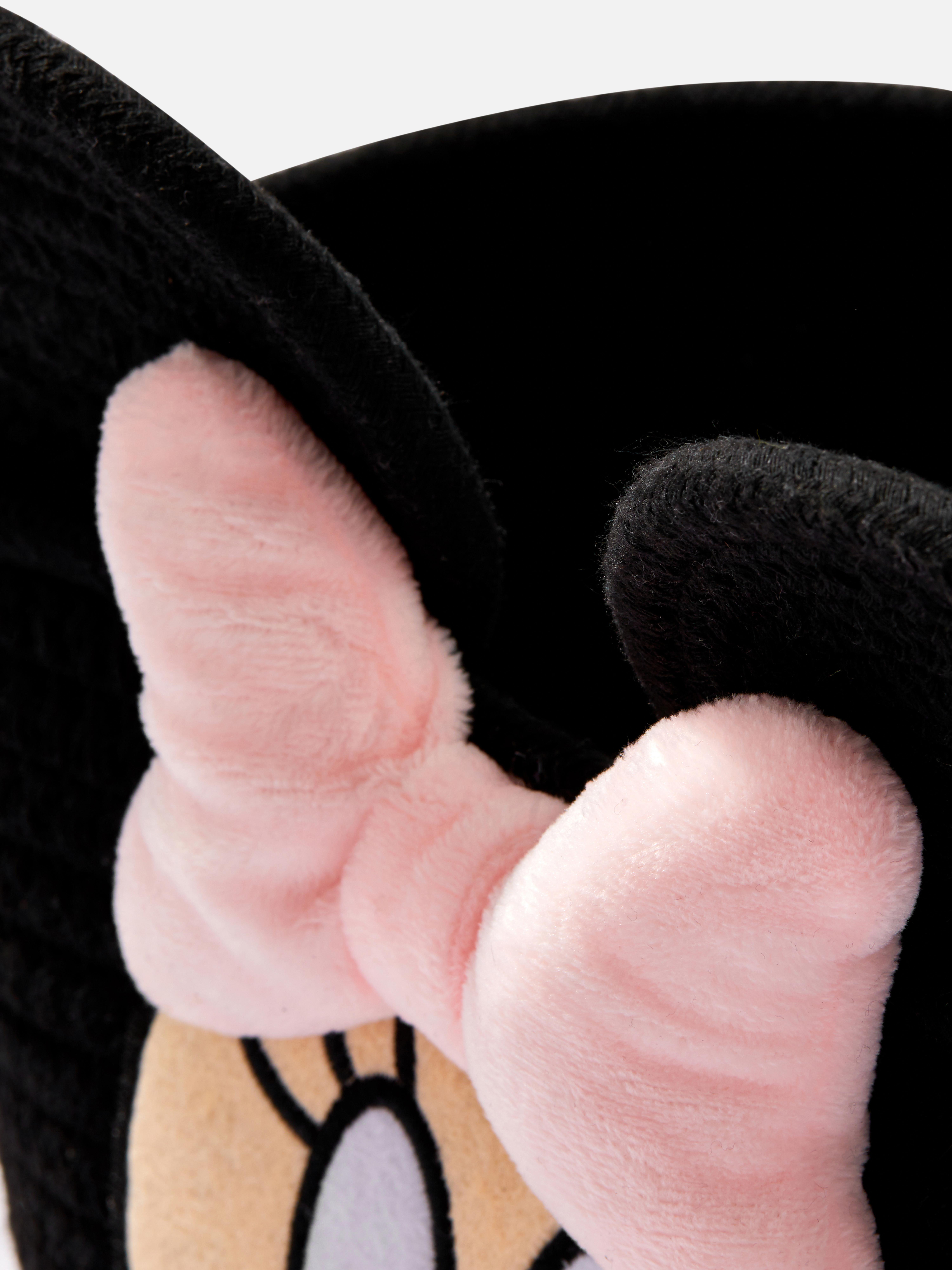 Disney's Minnie Mouse Storage