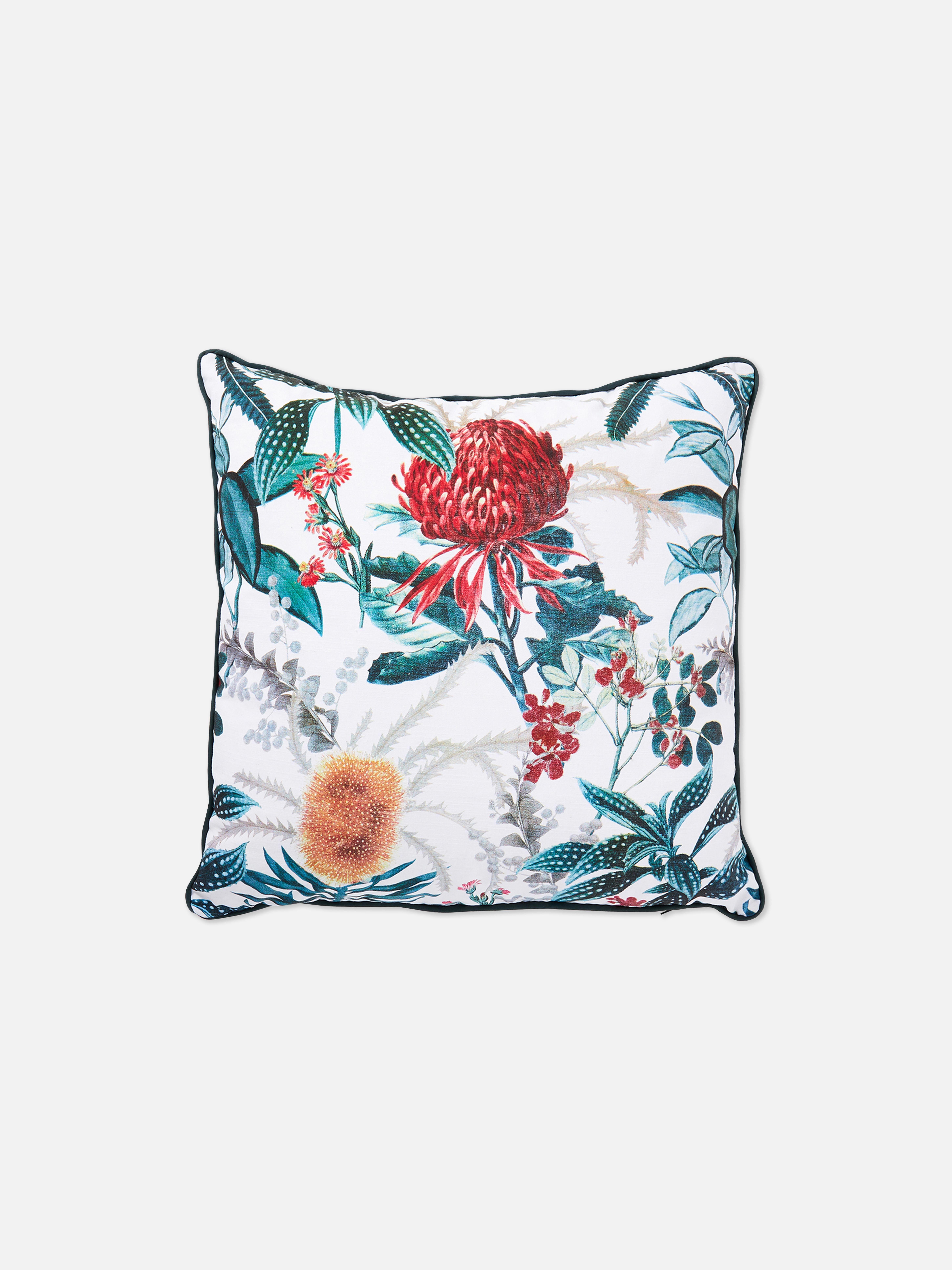 Cushions & Covers Primark