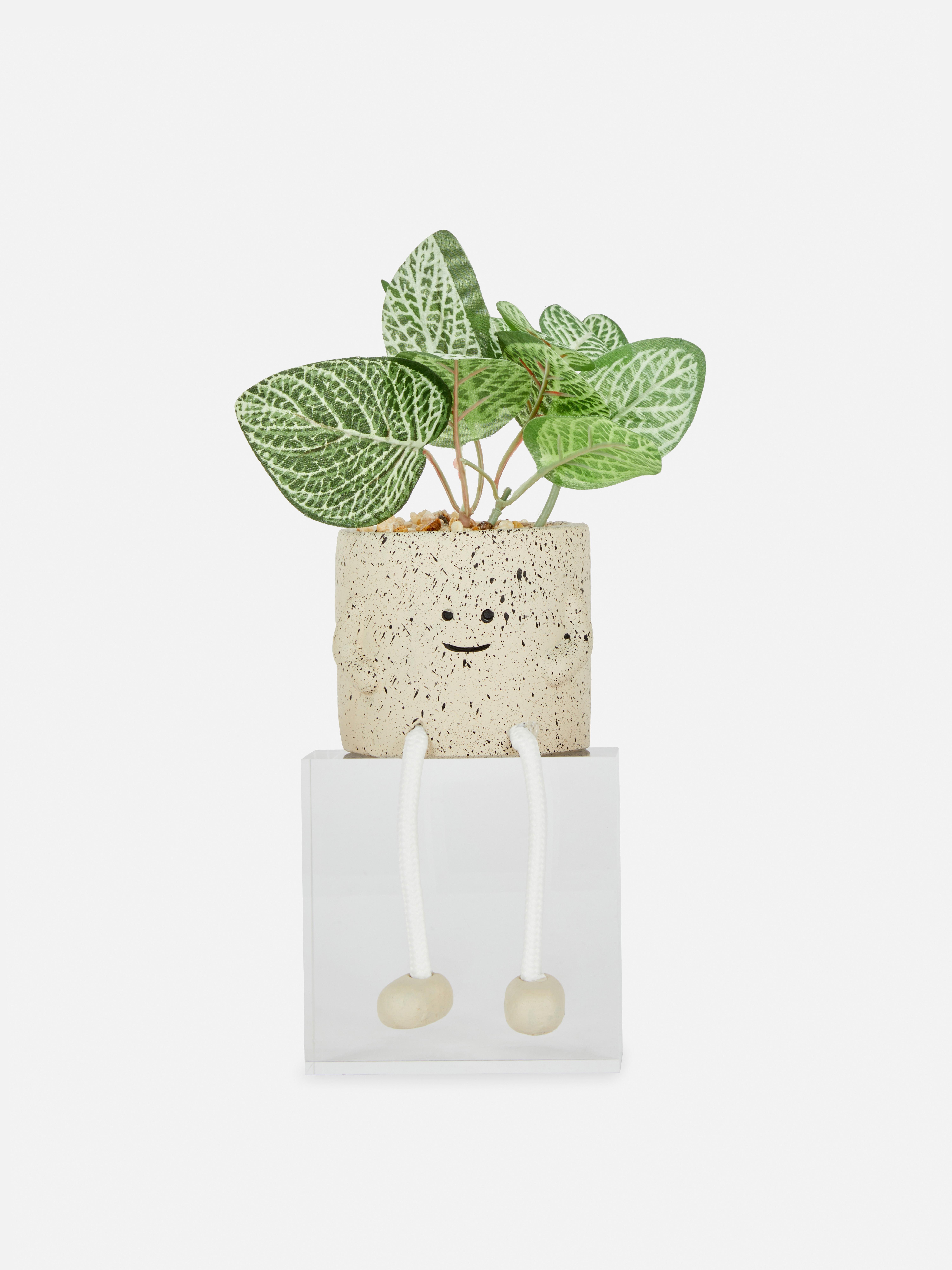Faux Plant in Smiley Face Pot