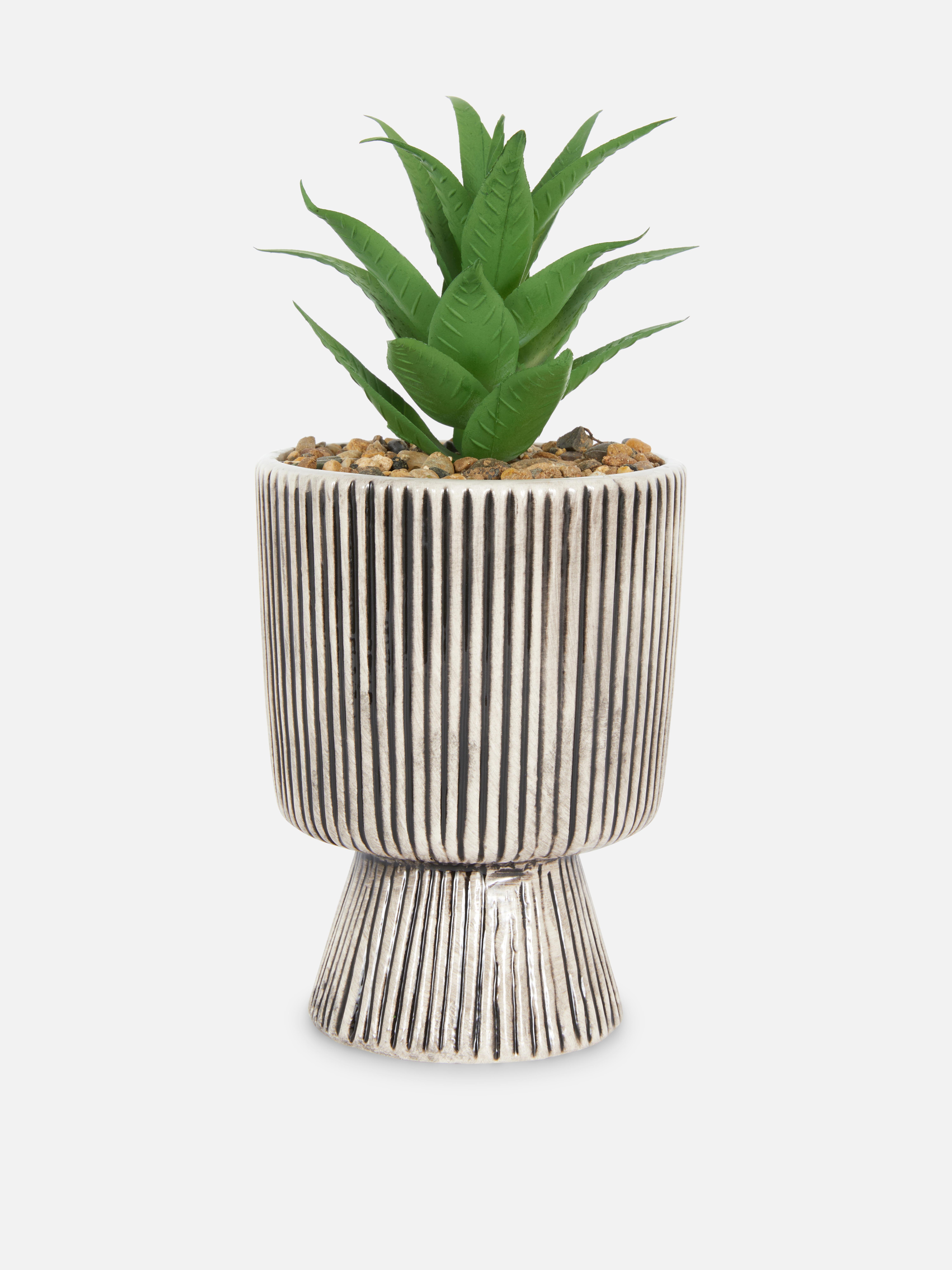 Faux Succulent in Stripy Pot