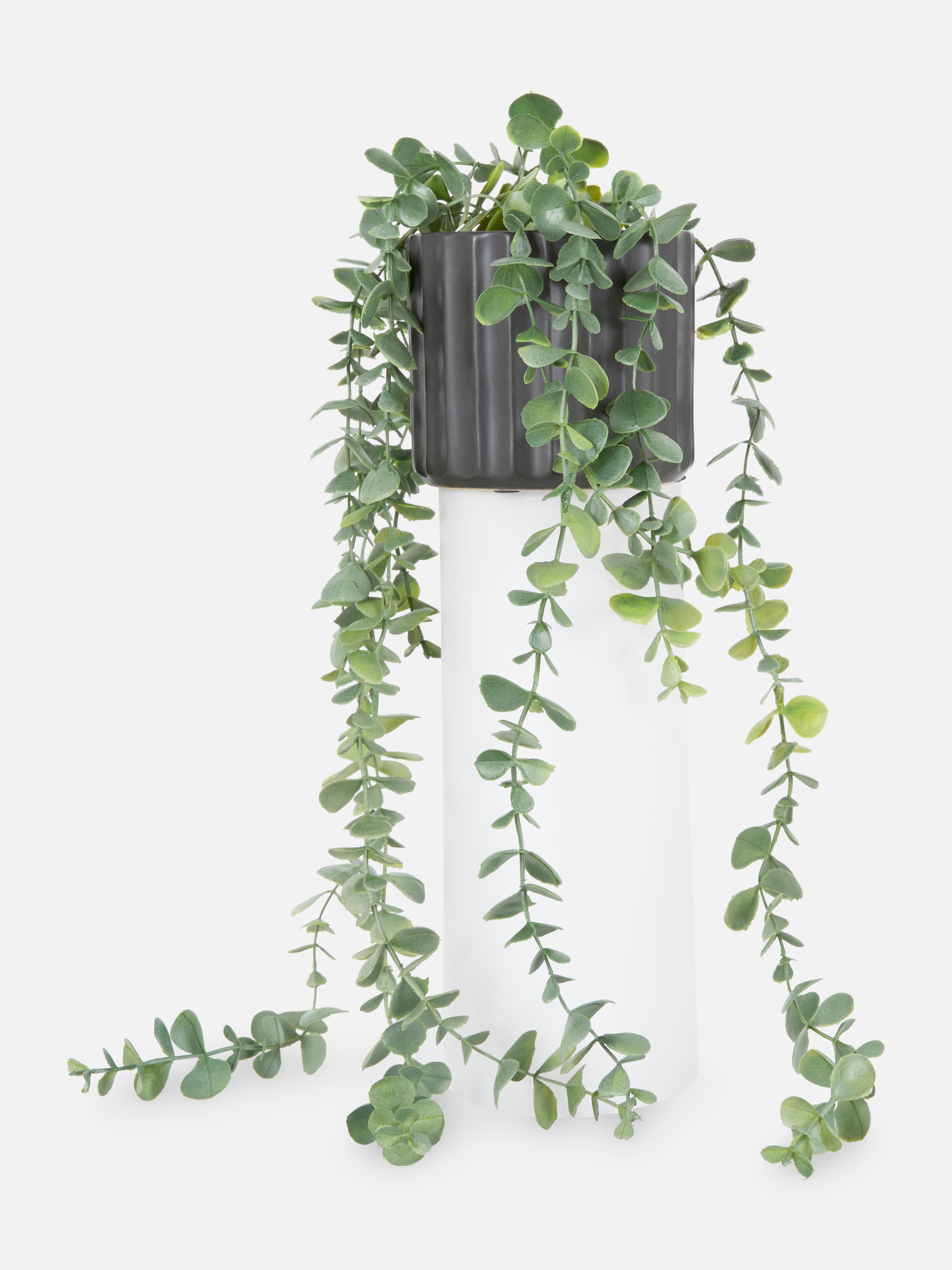 Faux Draping House Plant