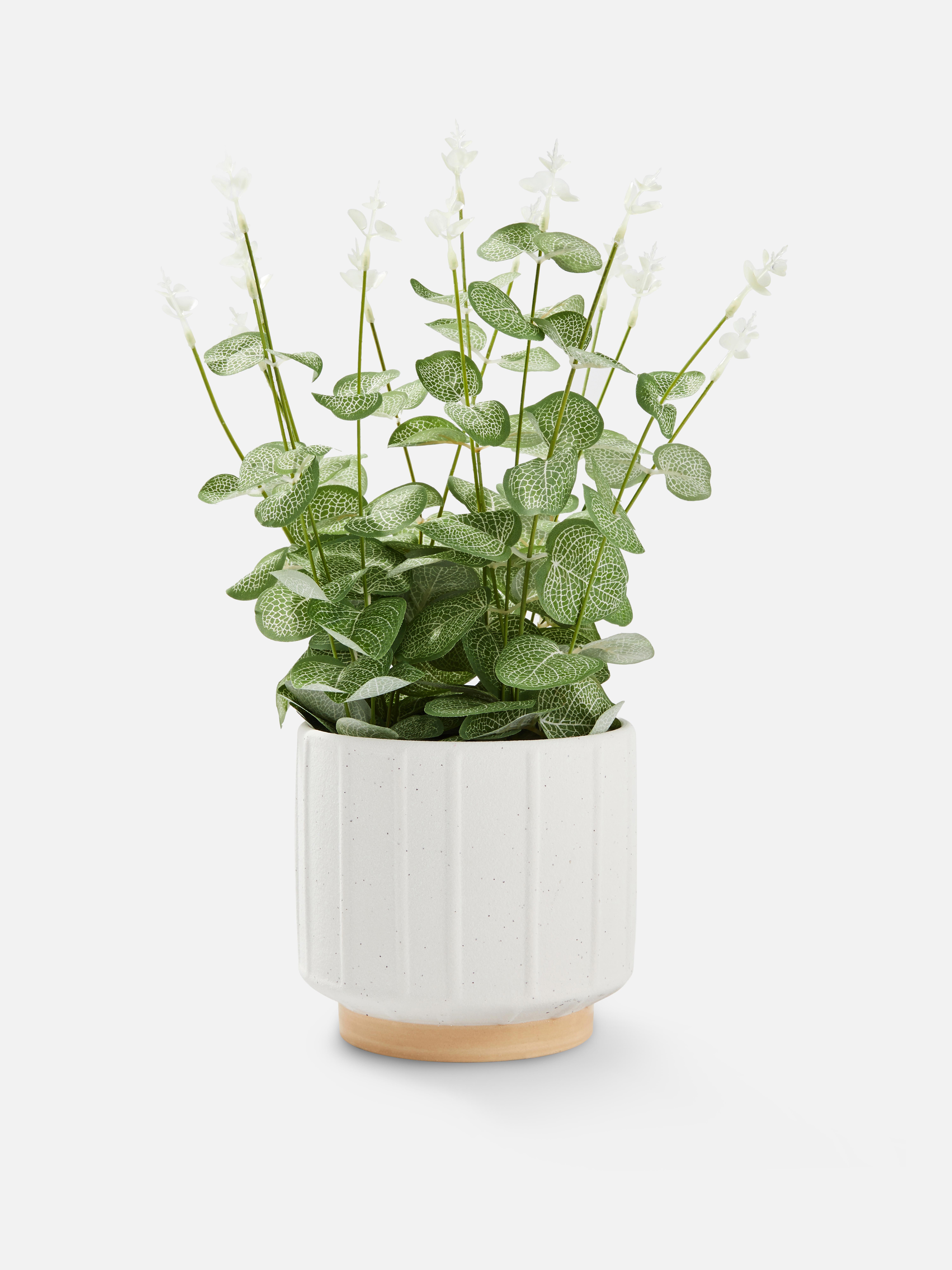 Indoor & Outdoor Artificial Flowers & Plants Primark