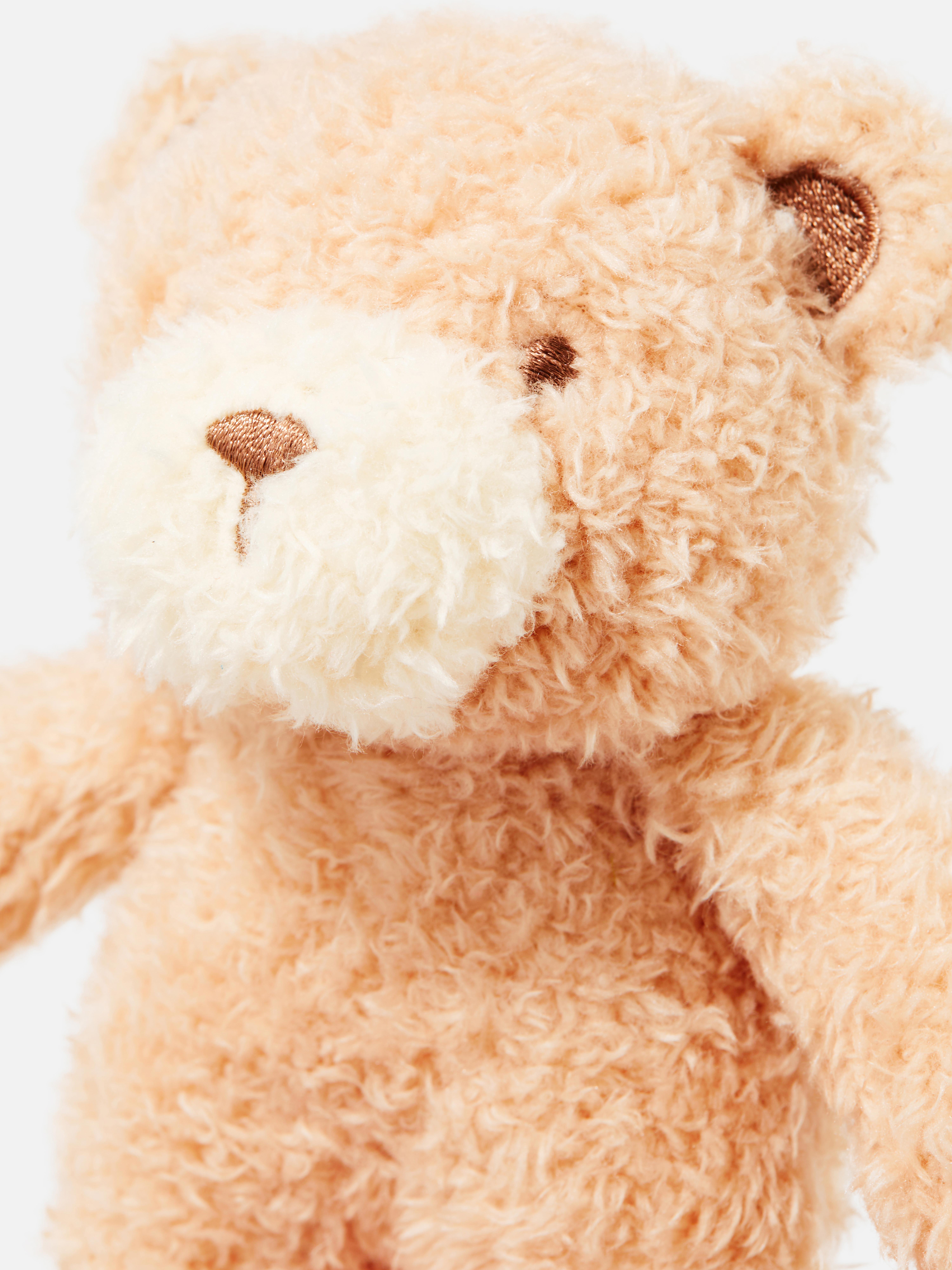 Small Teddy Bear Plush Toy