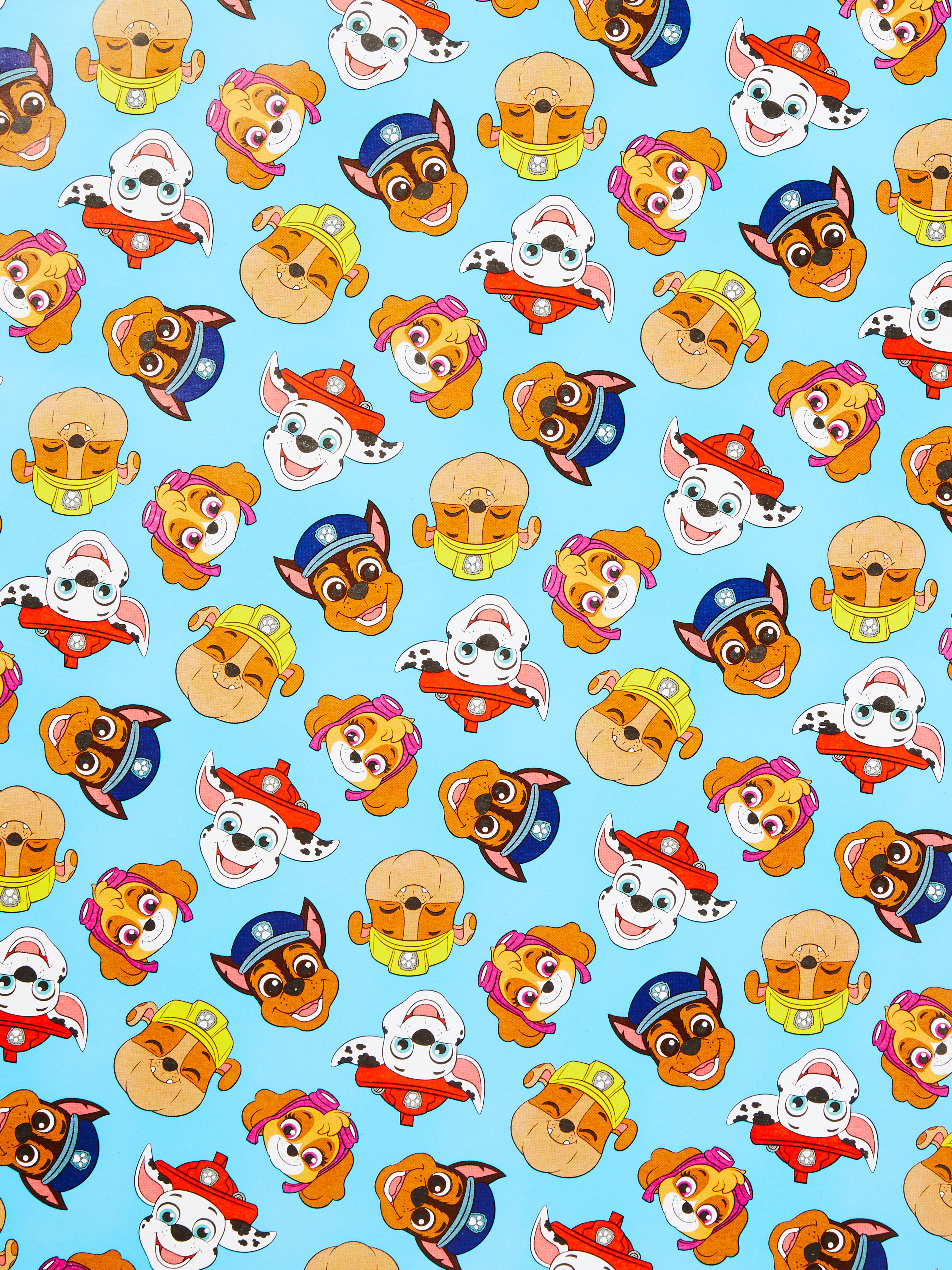 PAW Patrol Printed Wrapping Paper 5m