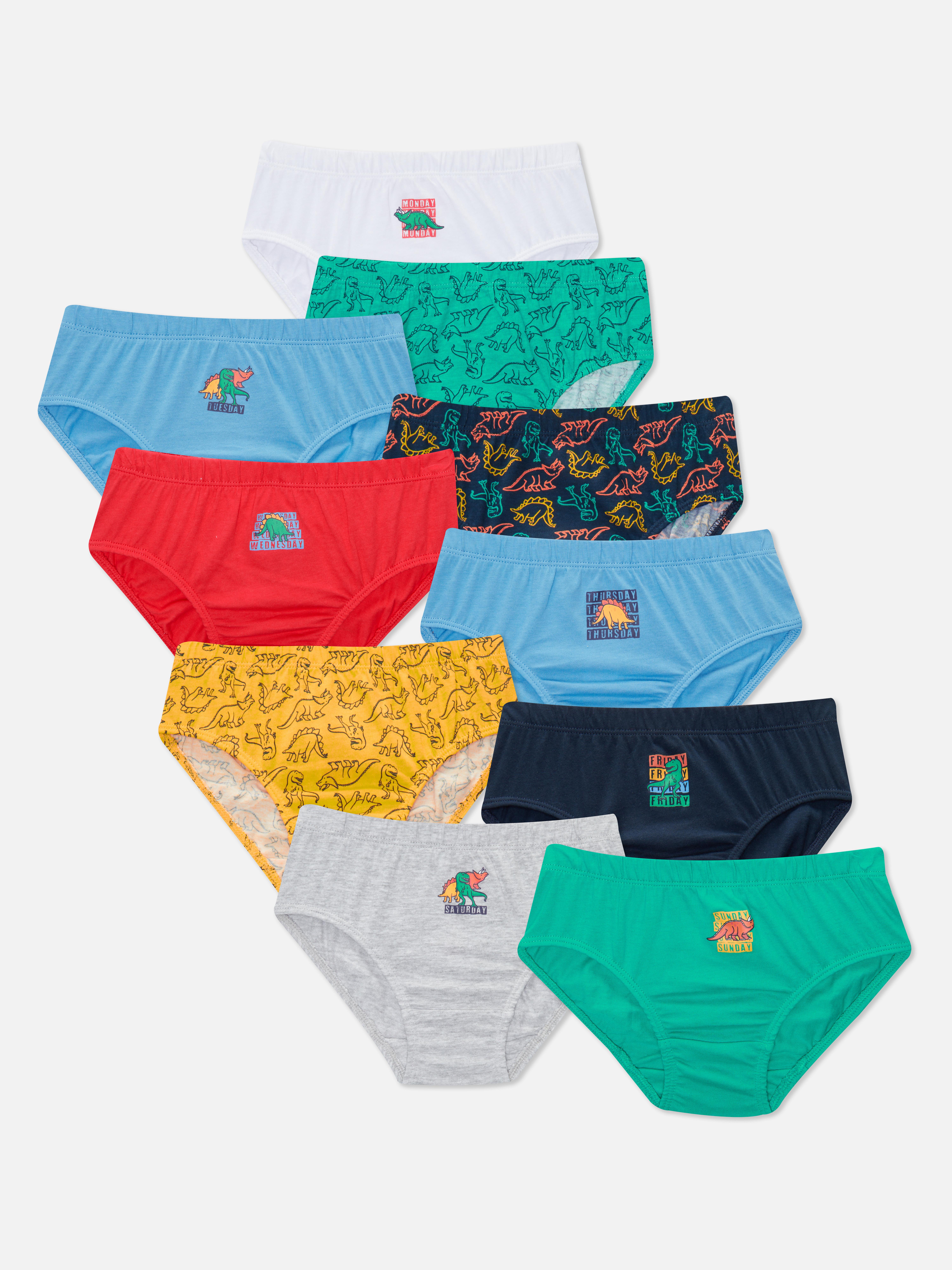 10pk Dinosaur Print Briefs