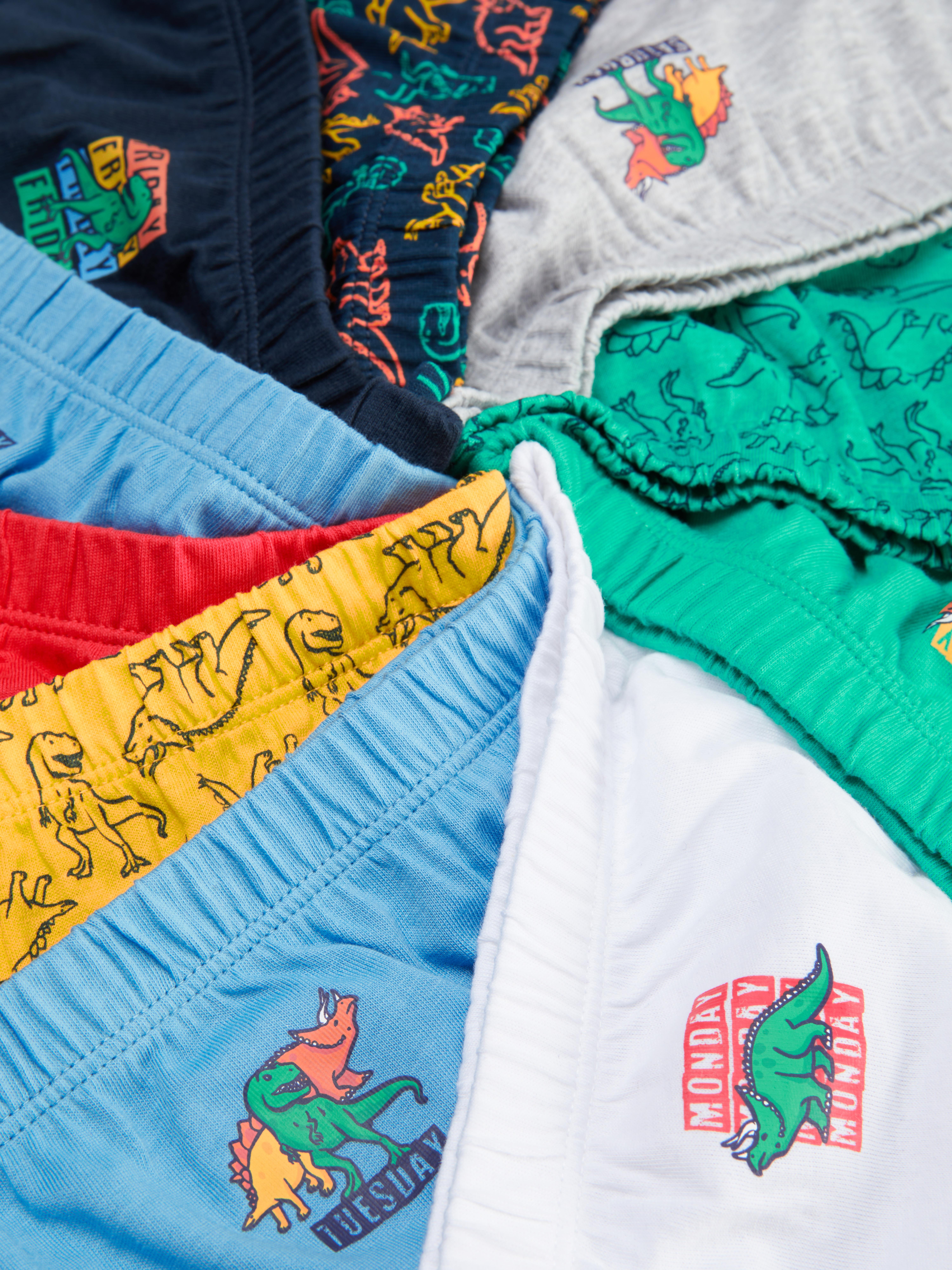 10pk Dinosaur Print Briefs