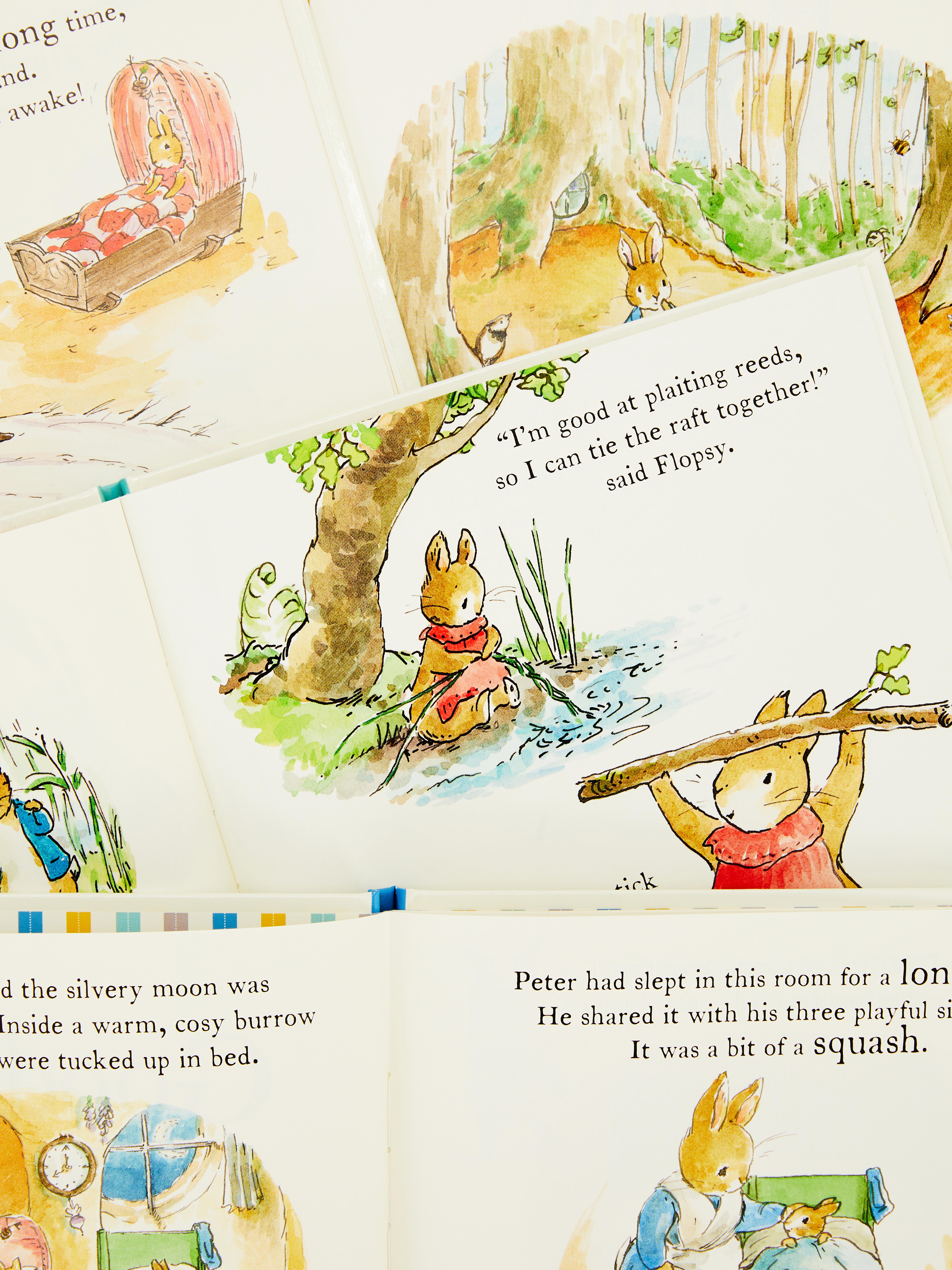 Peter Rabbit Board Book