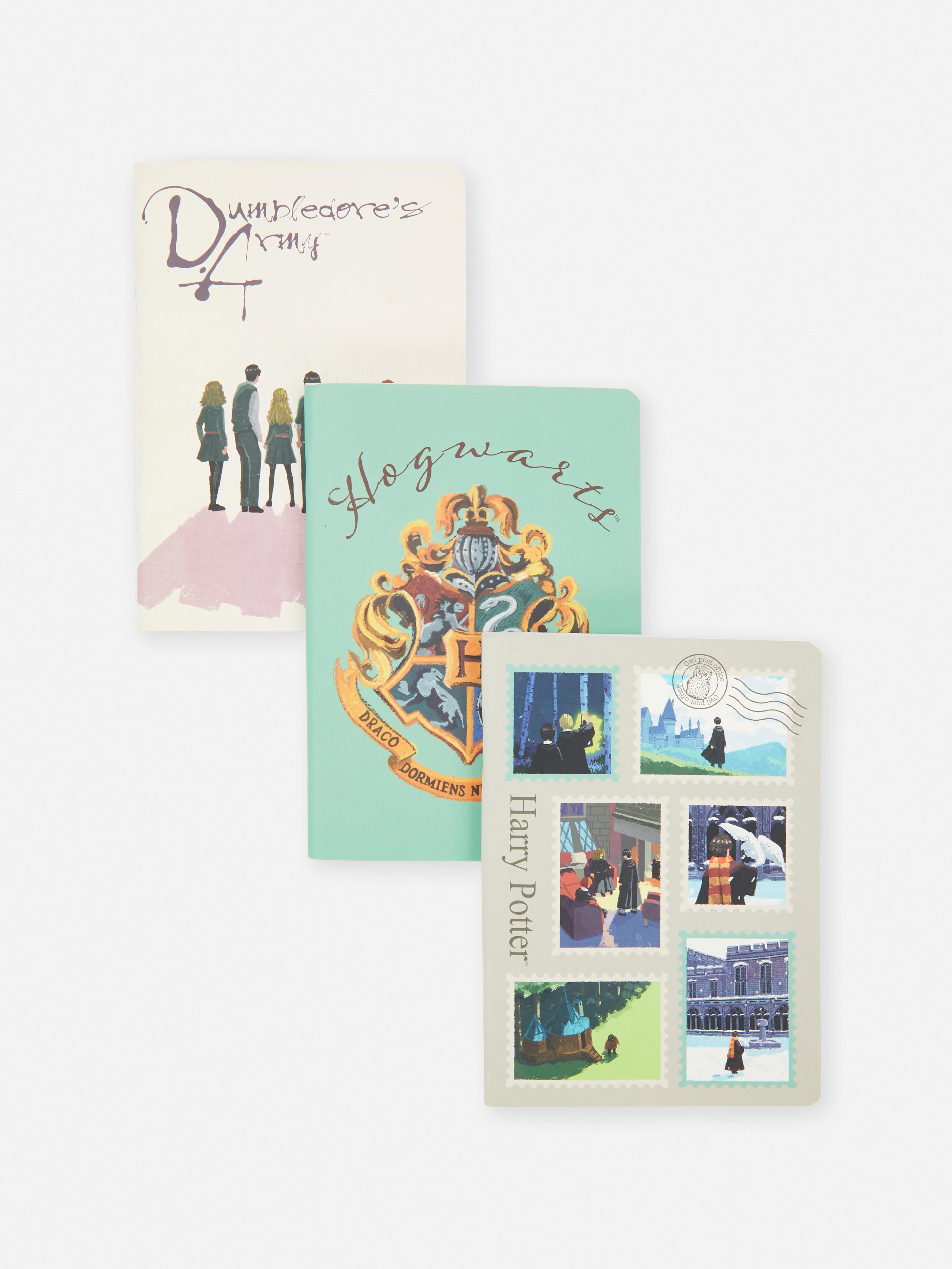 Lot de 3 carnets lignés Harry Potter™