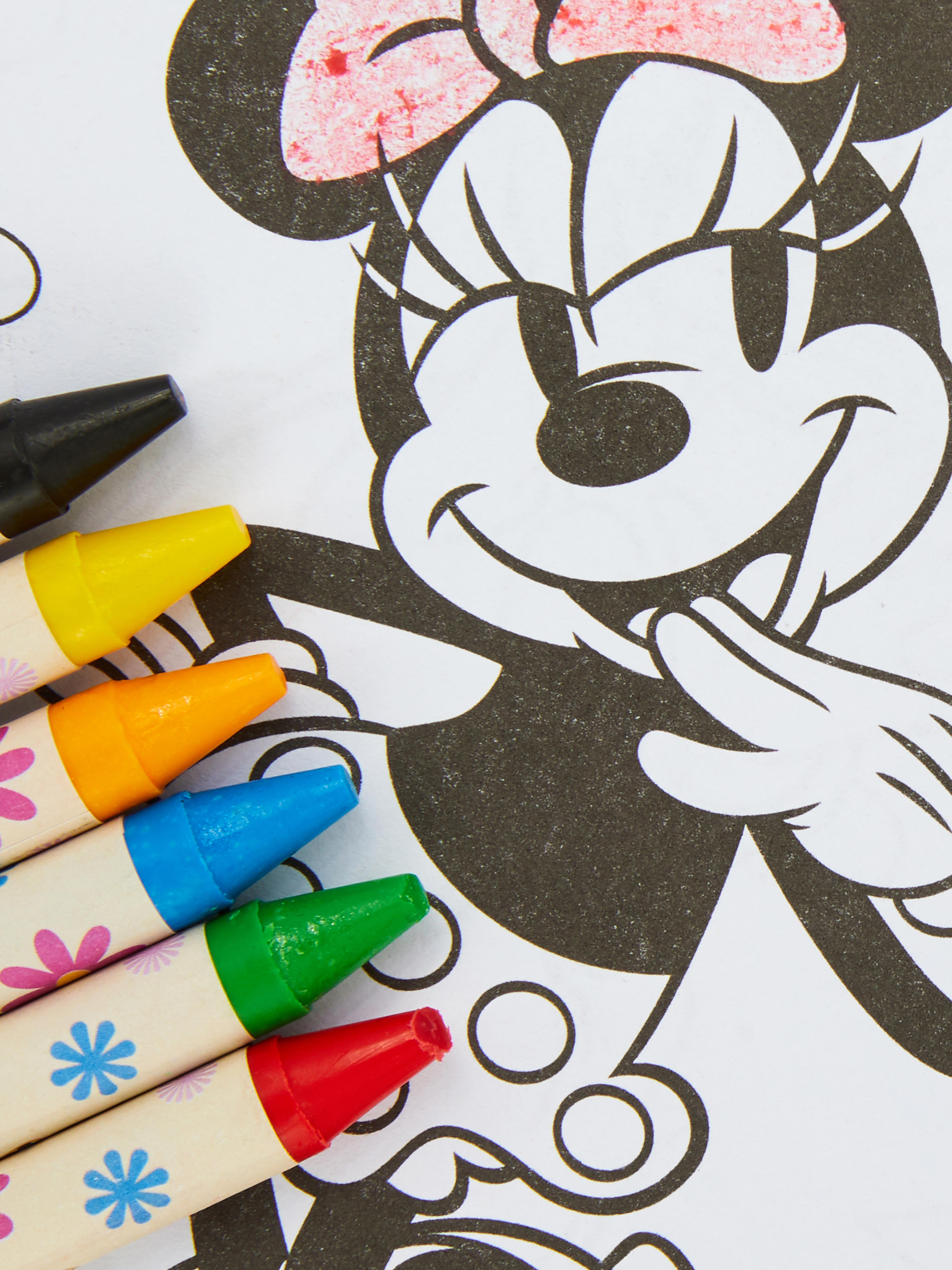 Disney’s Minnie Mouse and Daisy Duck Carry-Along Colouring Set