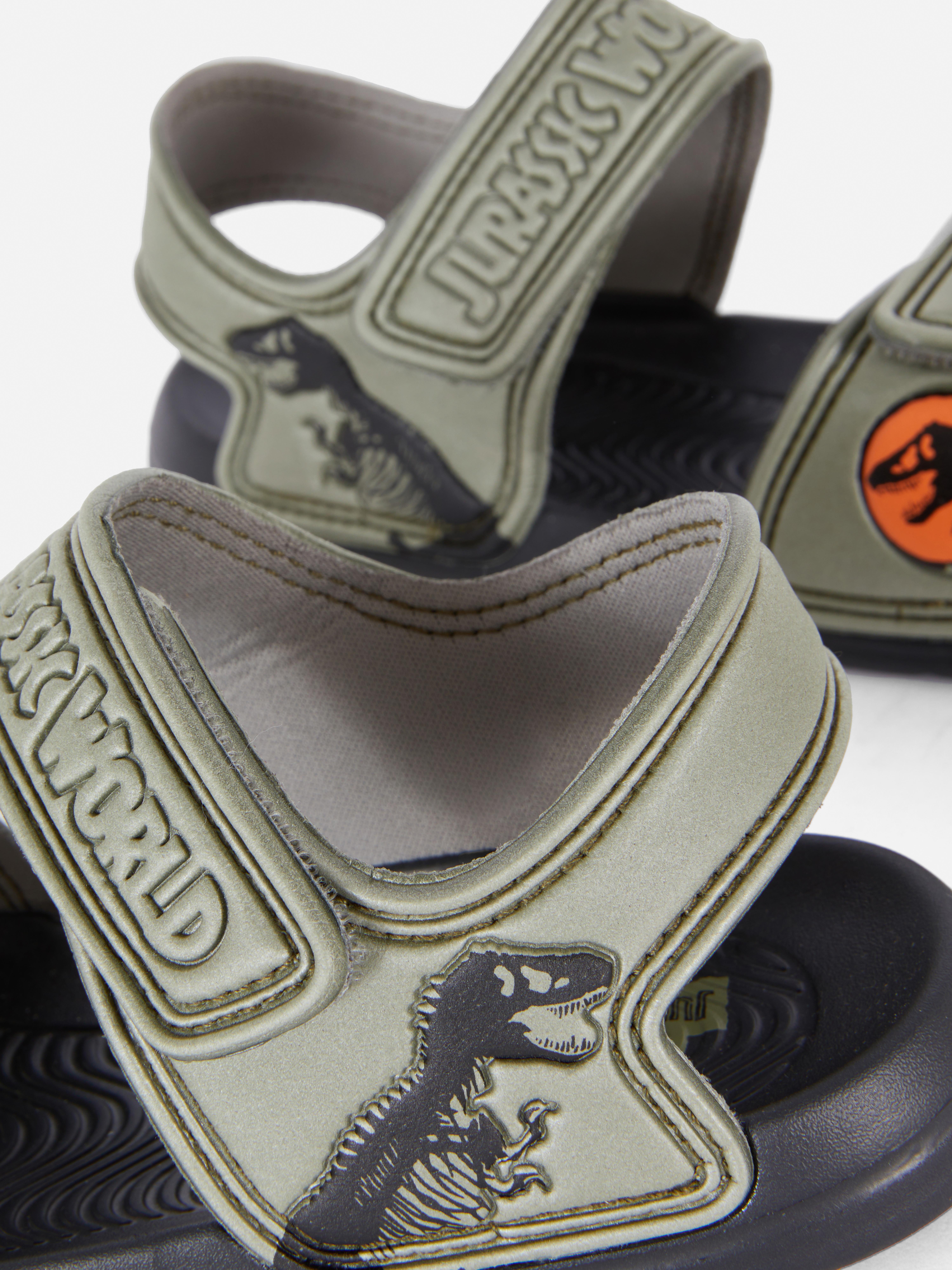Jurassic World Beach Shoes