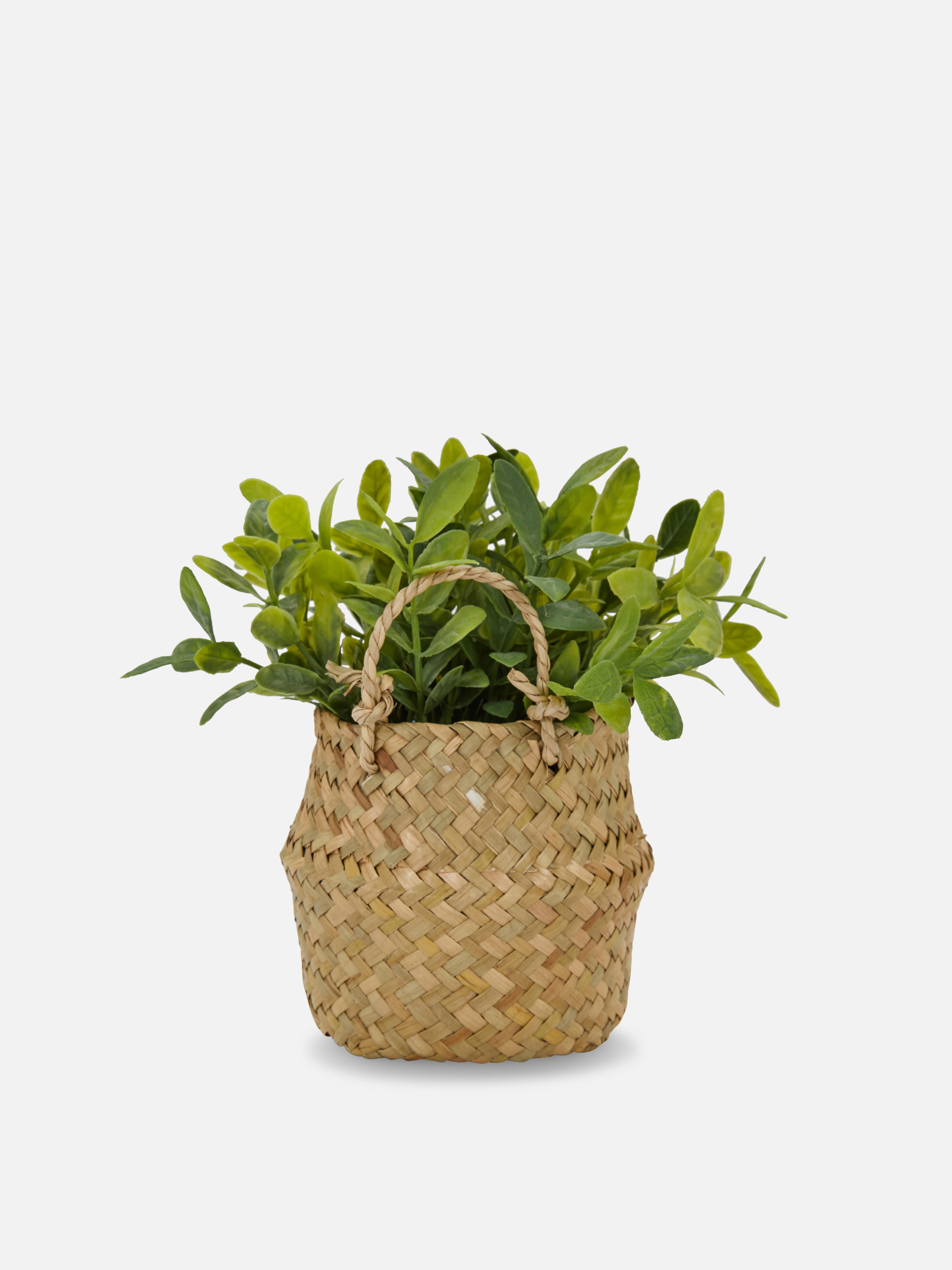 Faux Plant in Rattan Basket