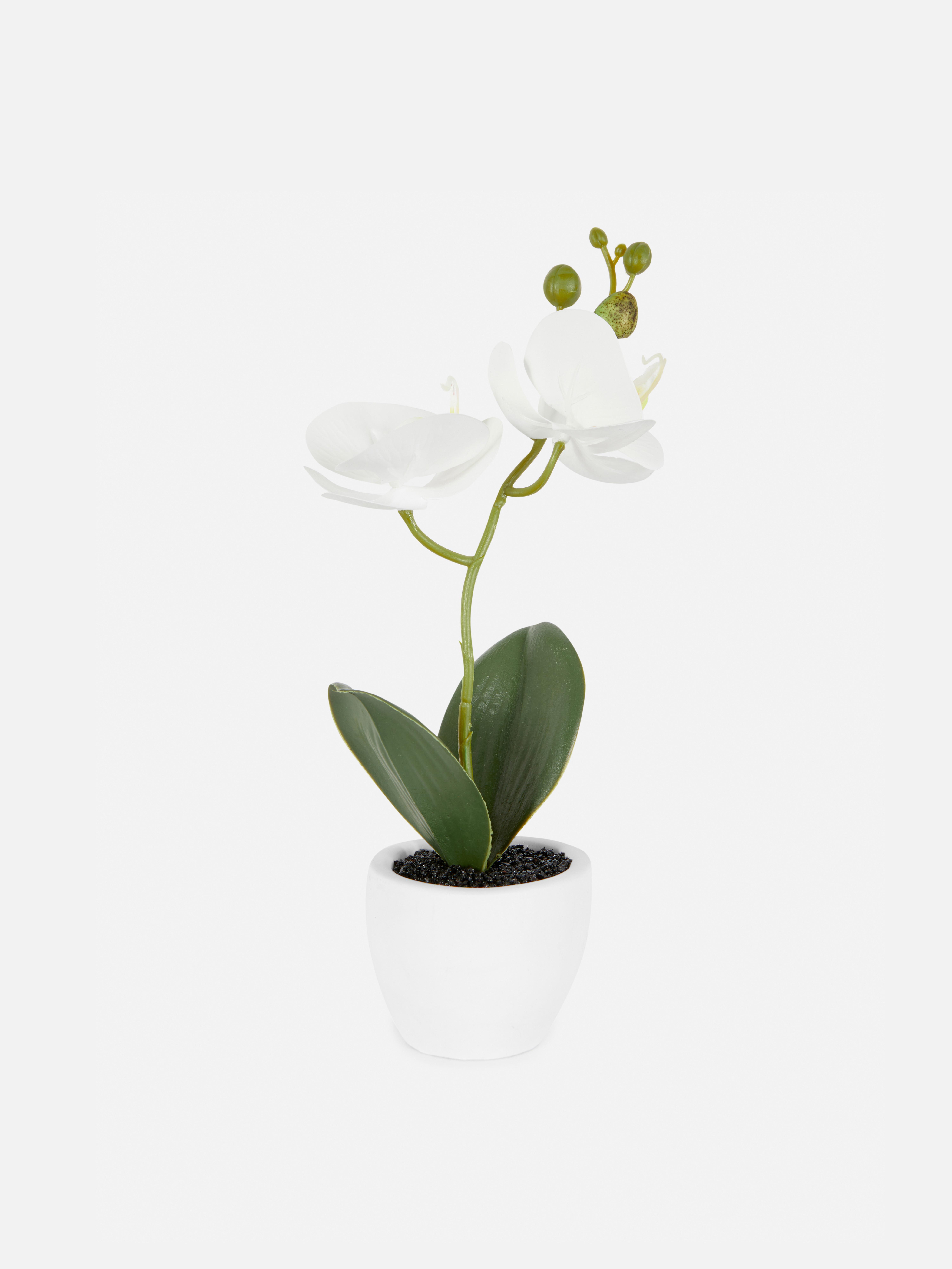 fleur ami, Pianta artificiale di eucalipto 90 cm, in vaso