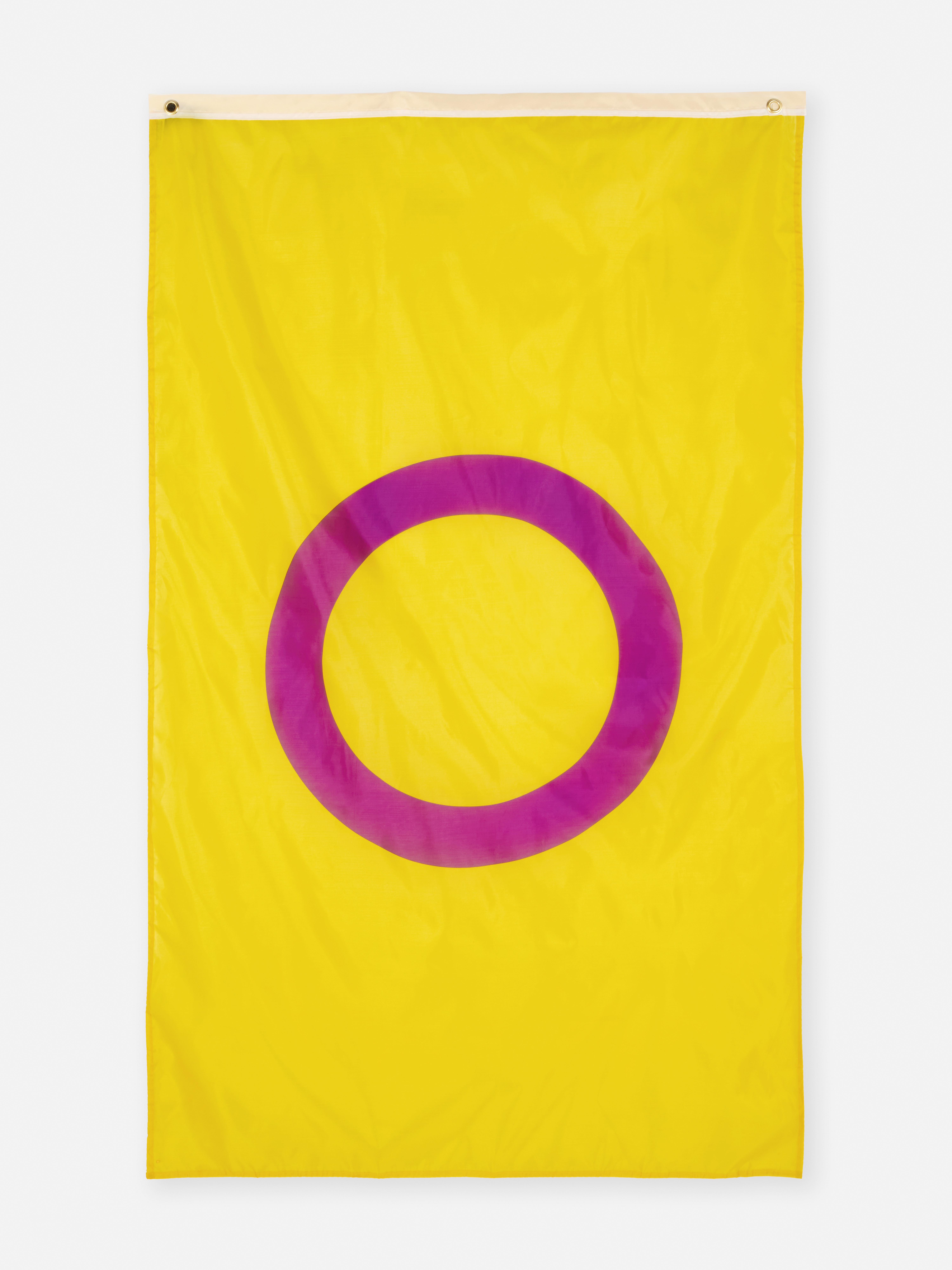 Pride Flag Wall Decoration