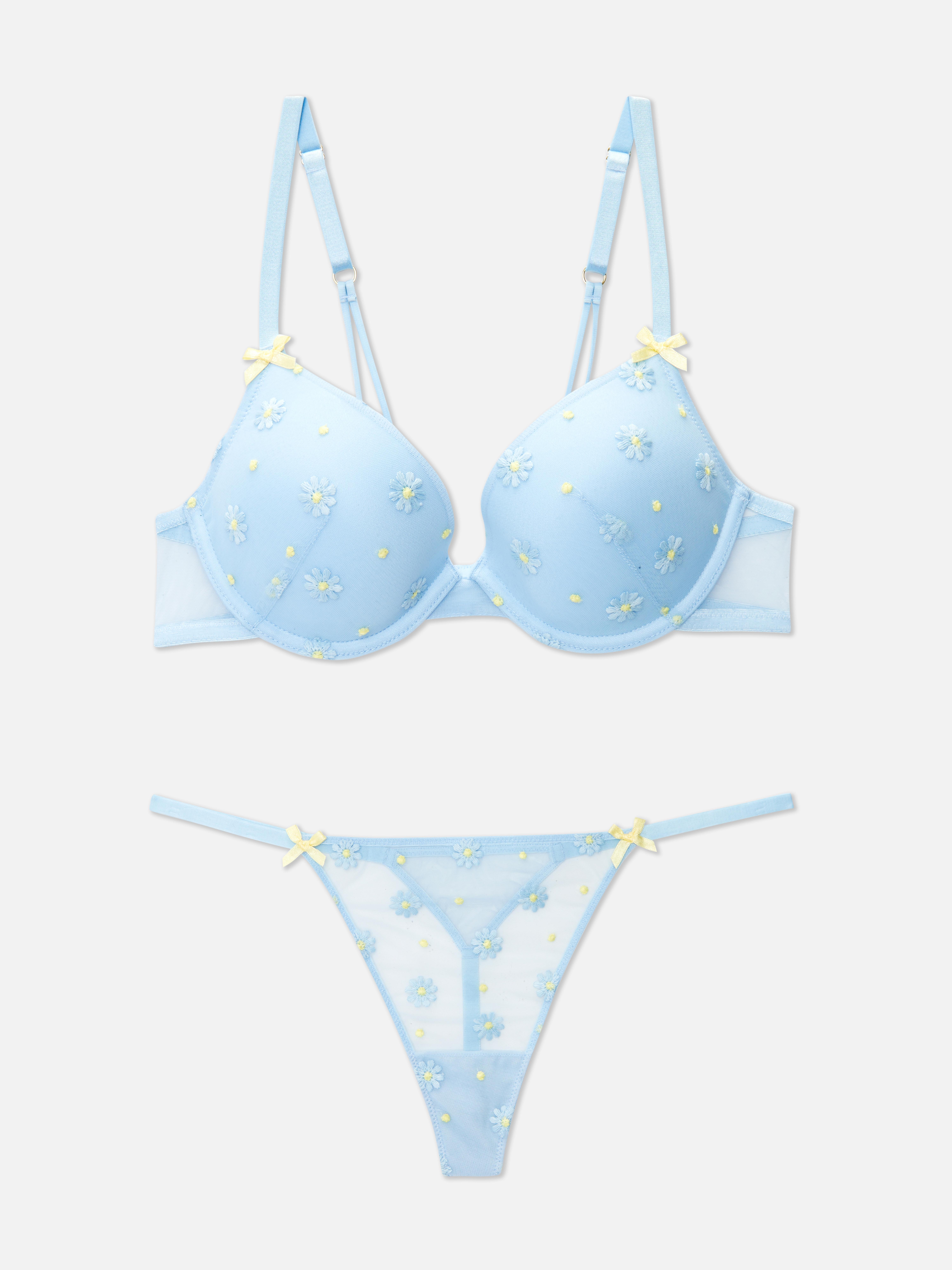 Floral Embroidered Push Up Bra and Thong Set