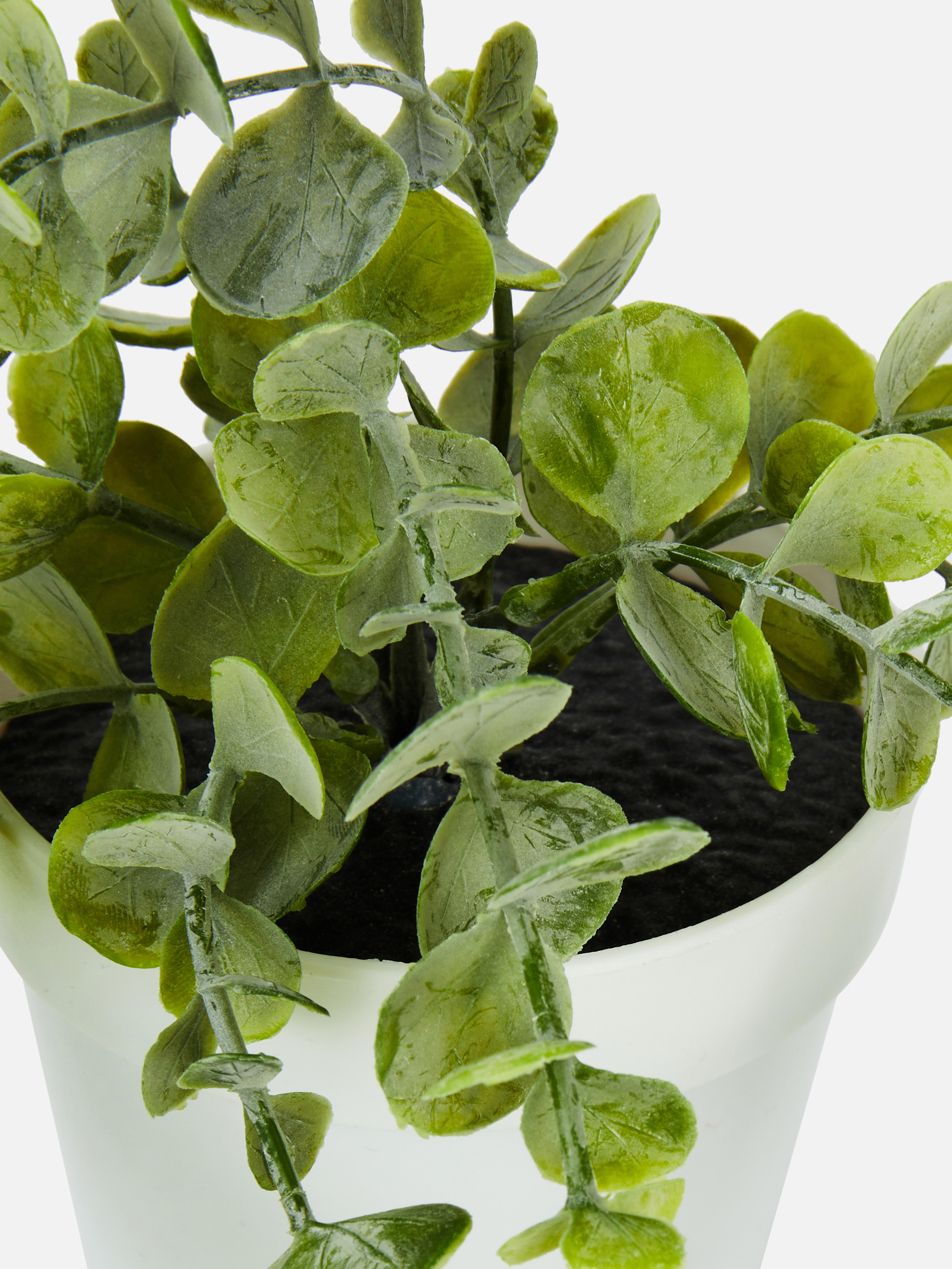 Faux Trailing Plant in Pot