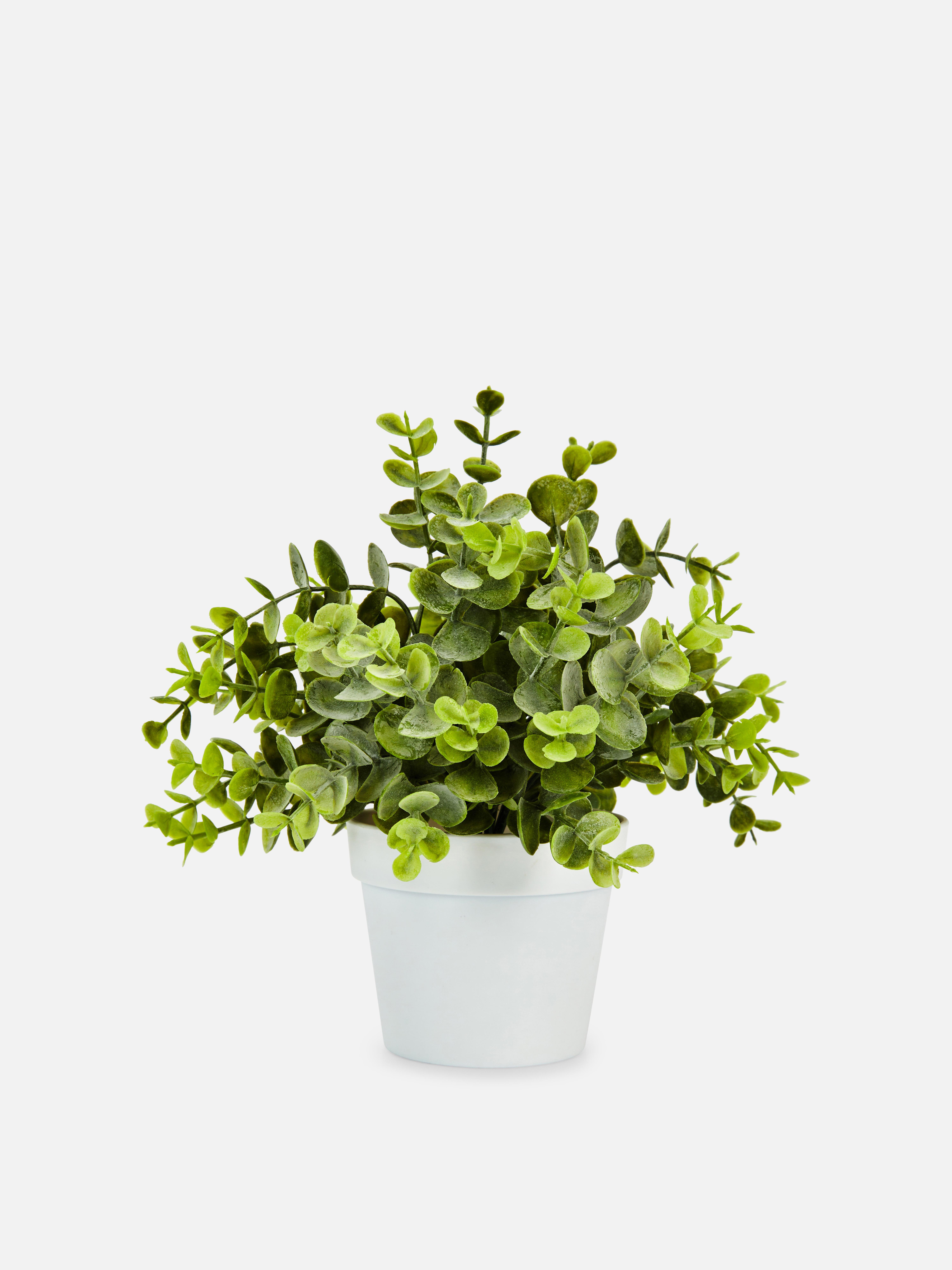 Small Faux Eucalyptus Plant