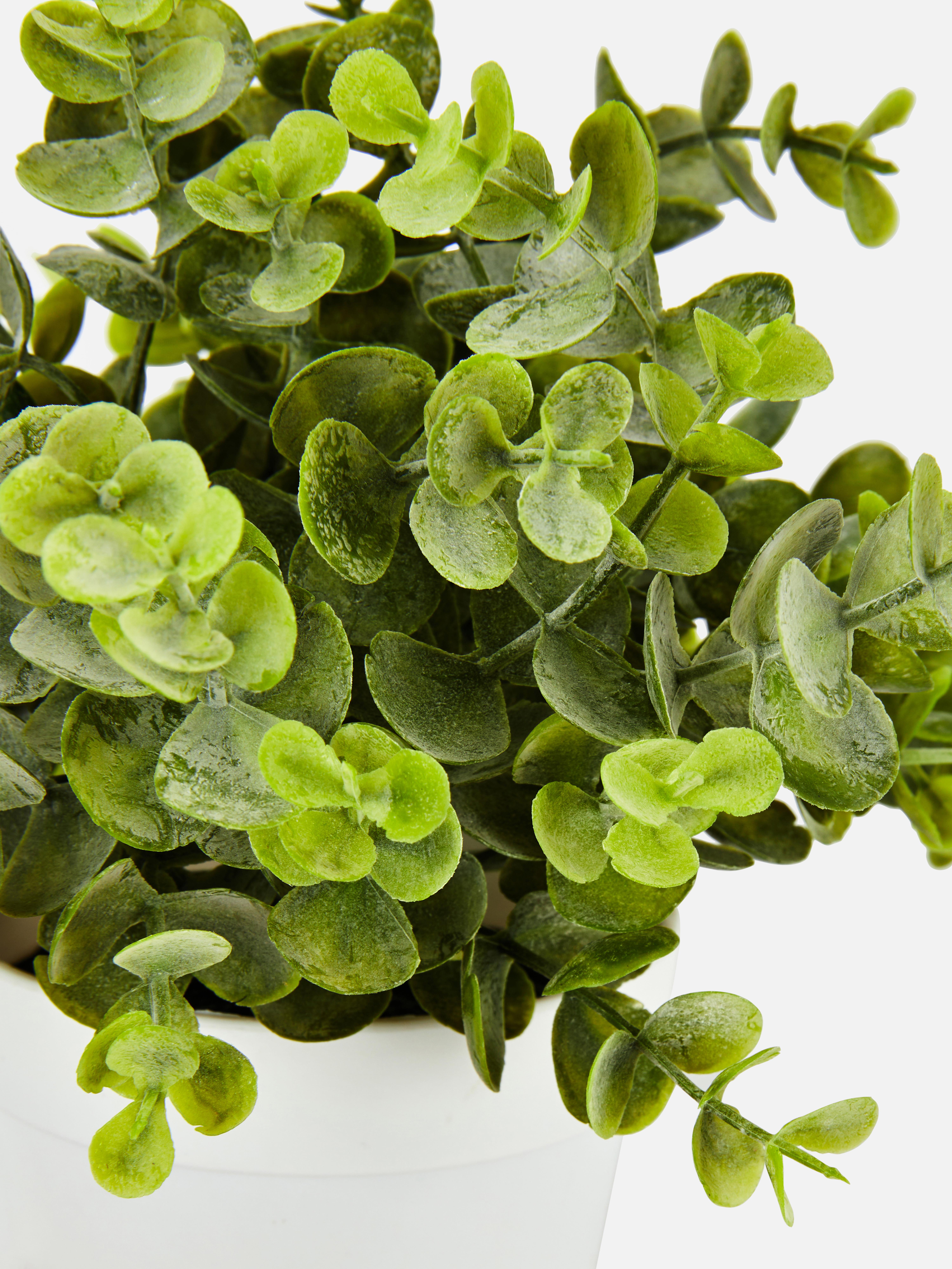 Small Faux Eucalyptus Plant