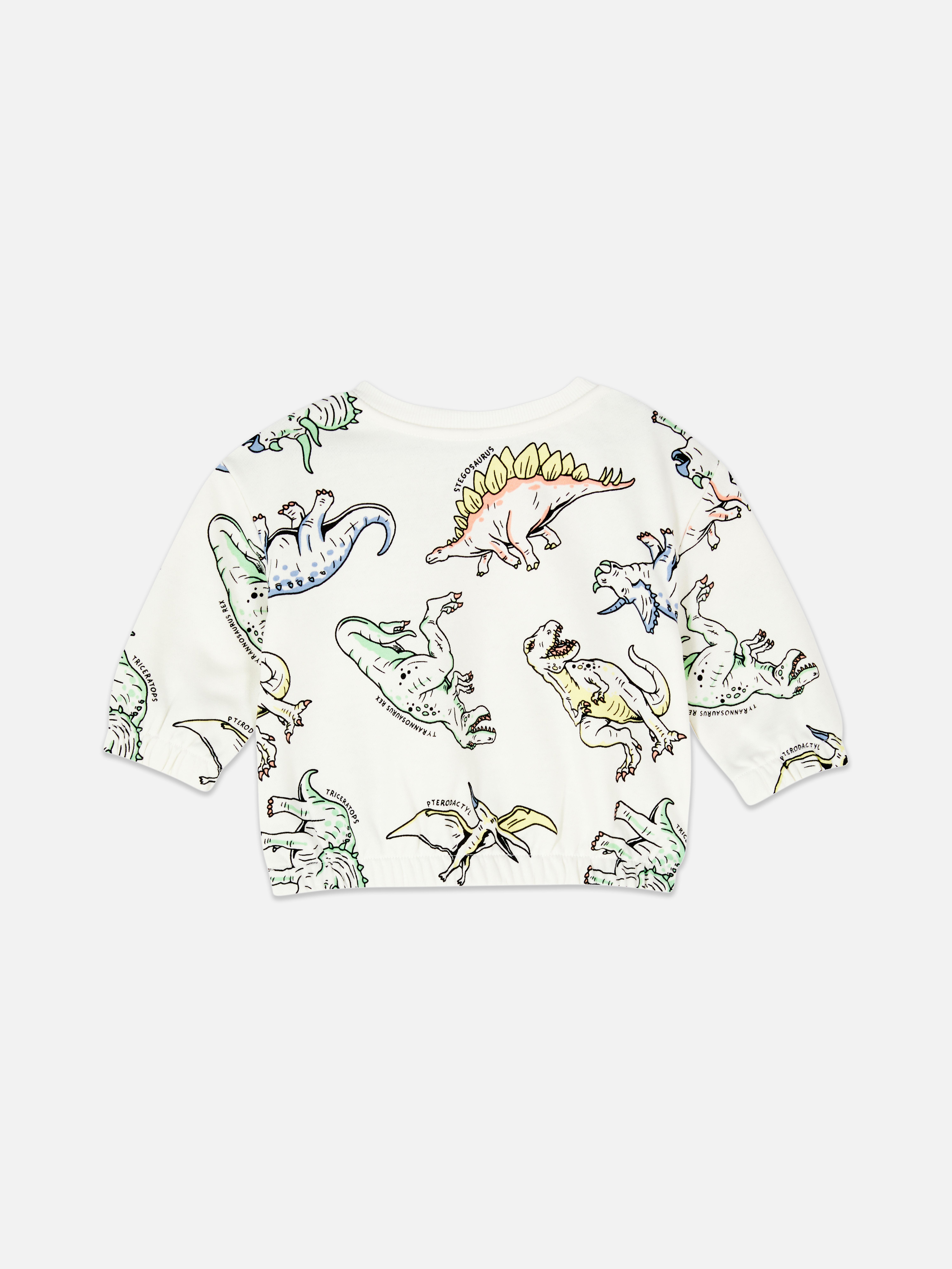 Baby Boys Ivory Sweatshirt Primark