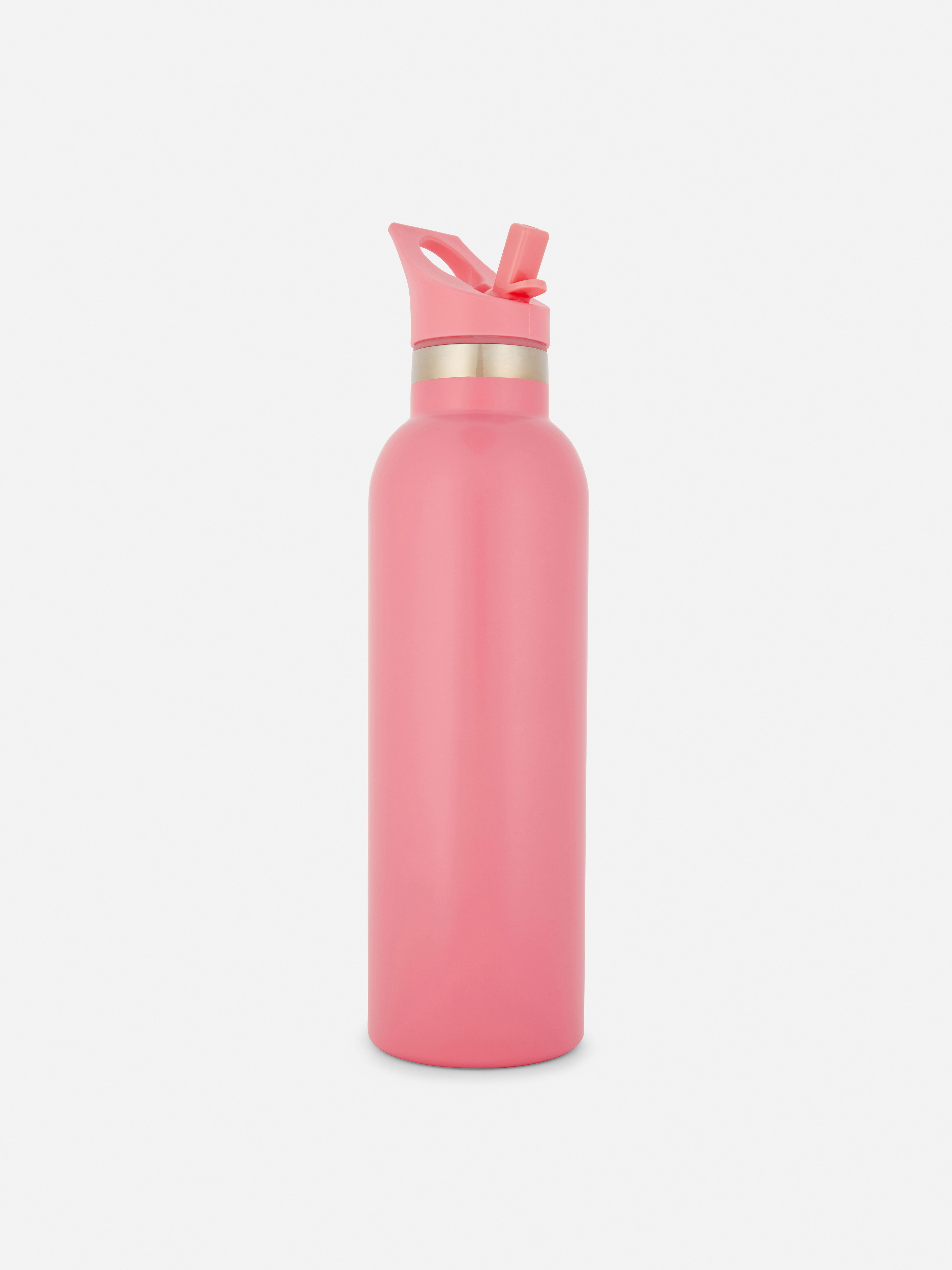 Stainless Steel Water Bottle with Handle