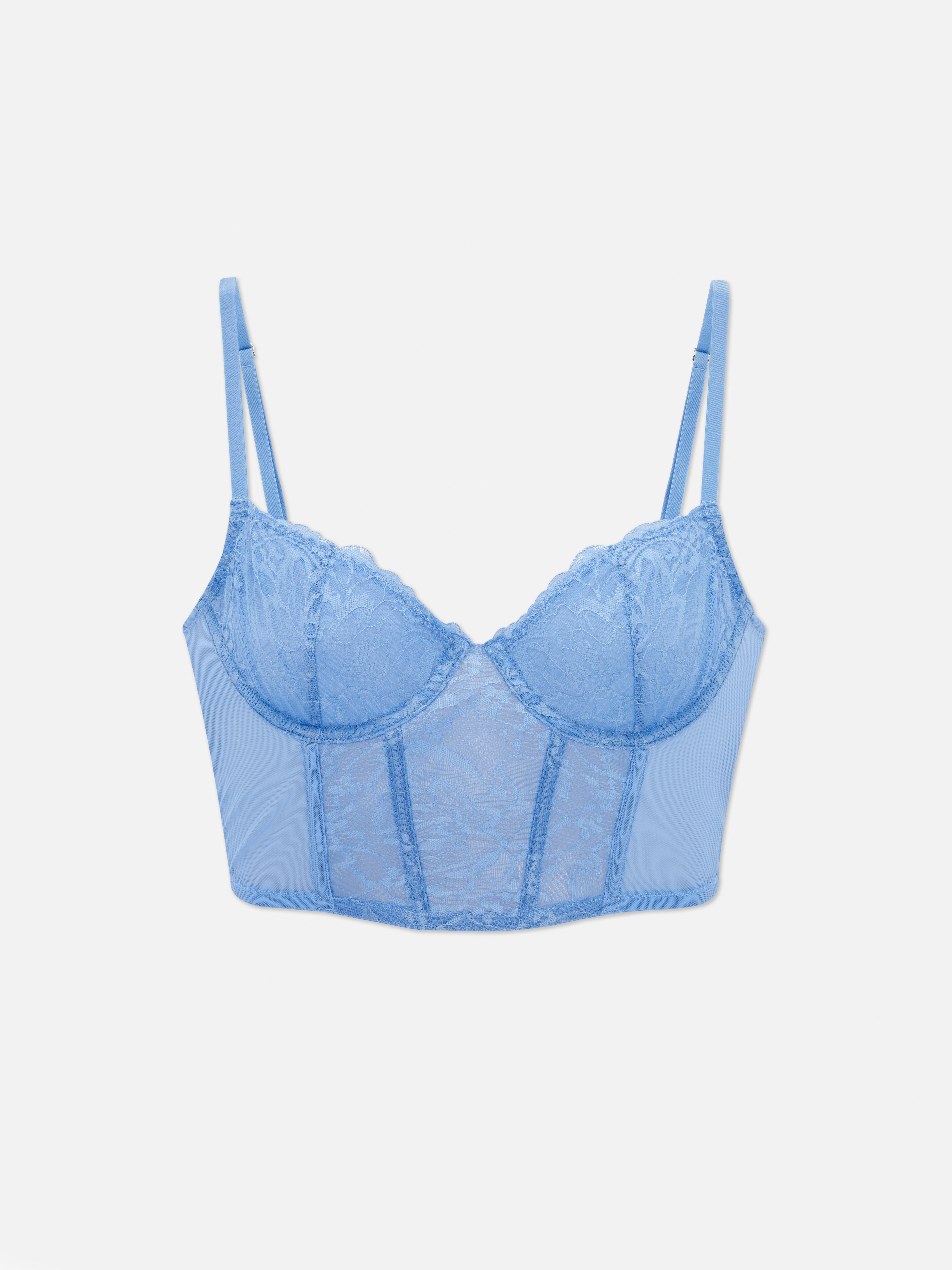 Lace Panel Longline Bra Bustier