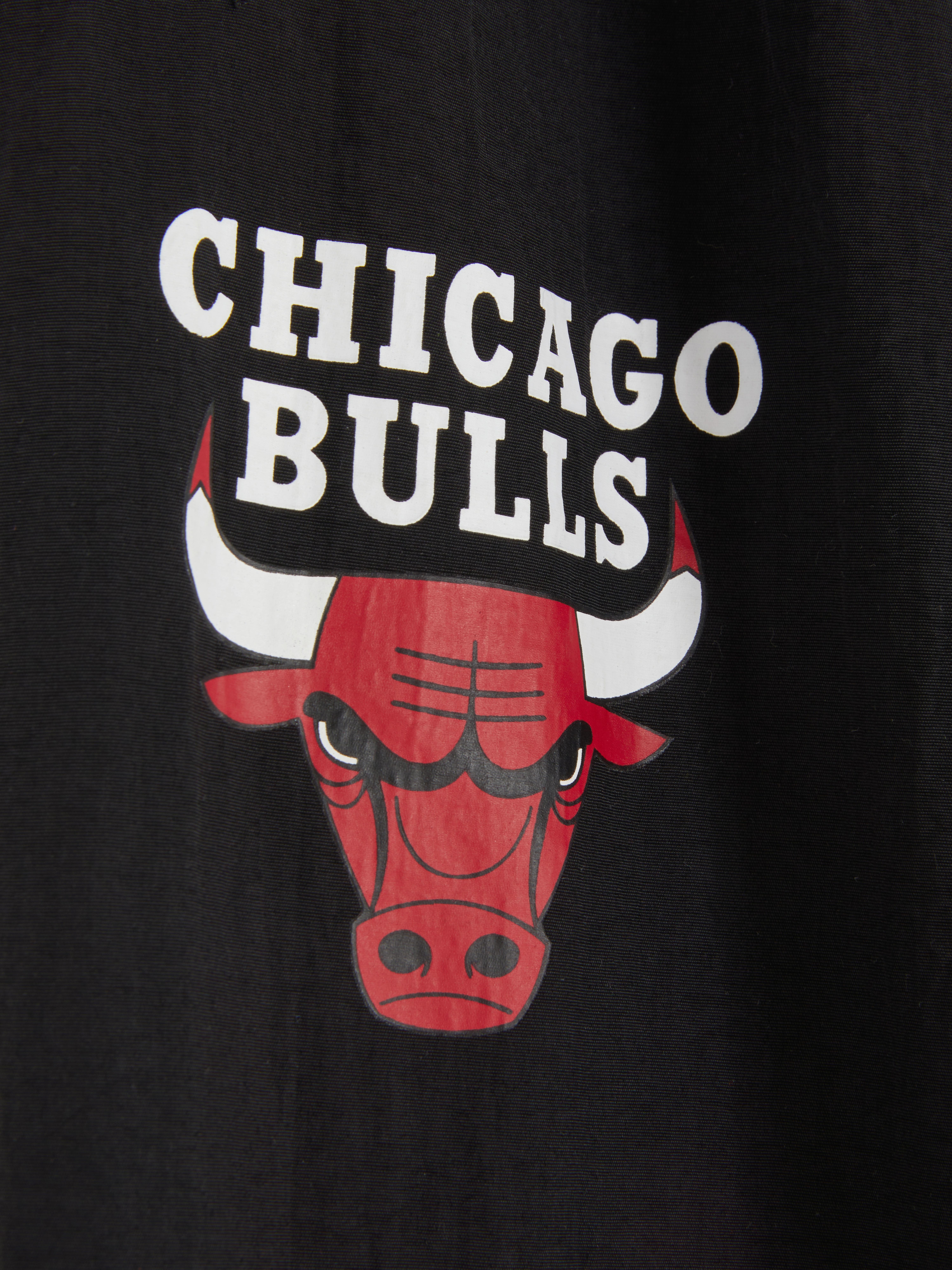 WinCraft Chicago Bulls Logo Auto - Emblem