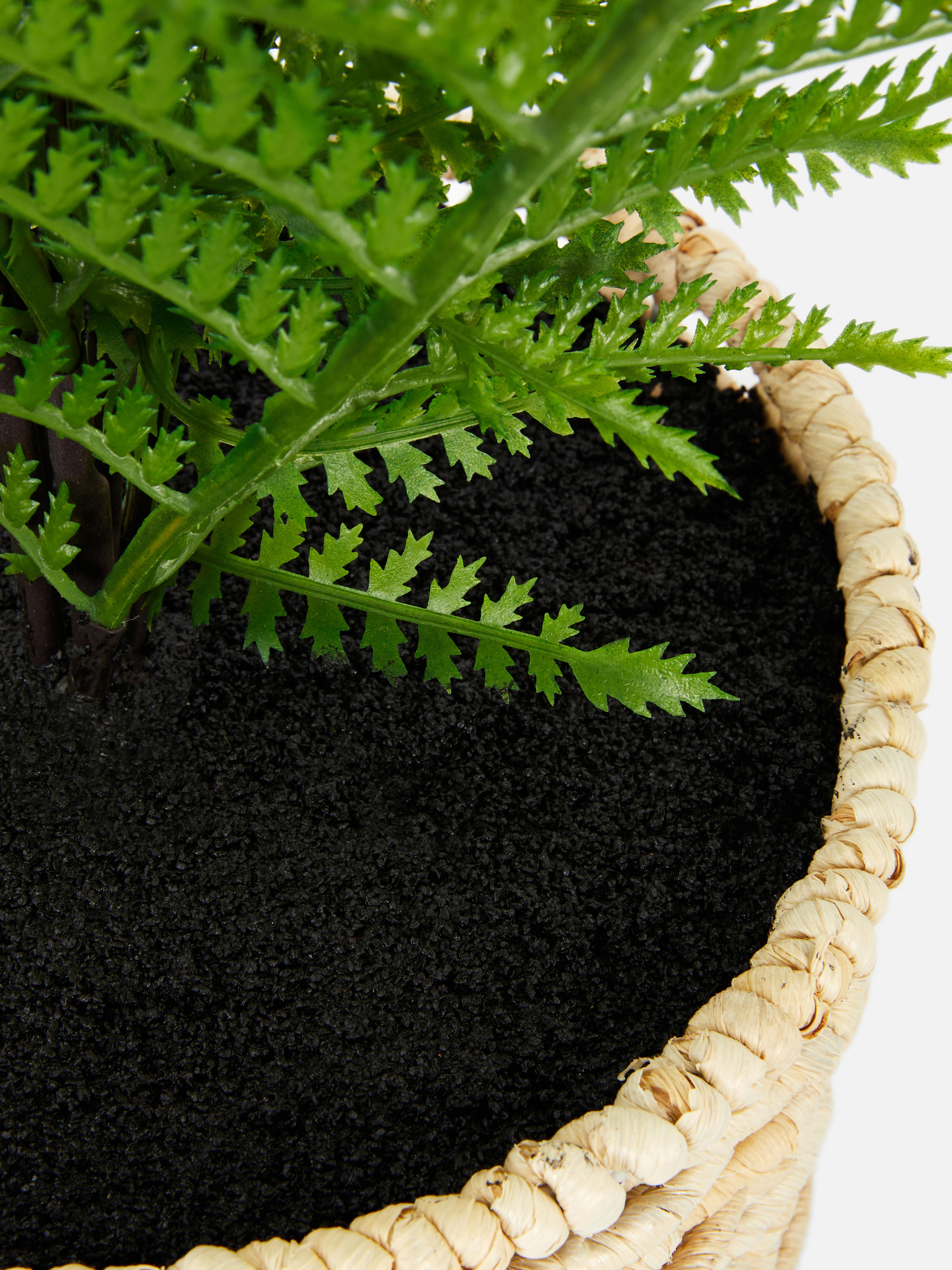 Faux Fern In Woven Basket