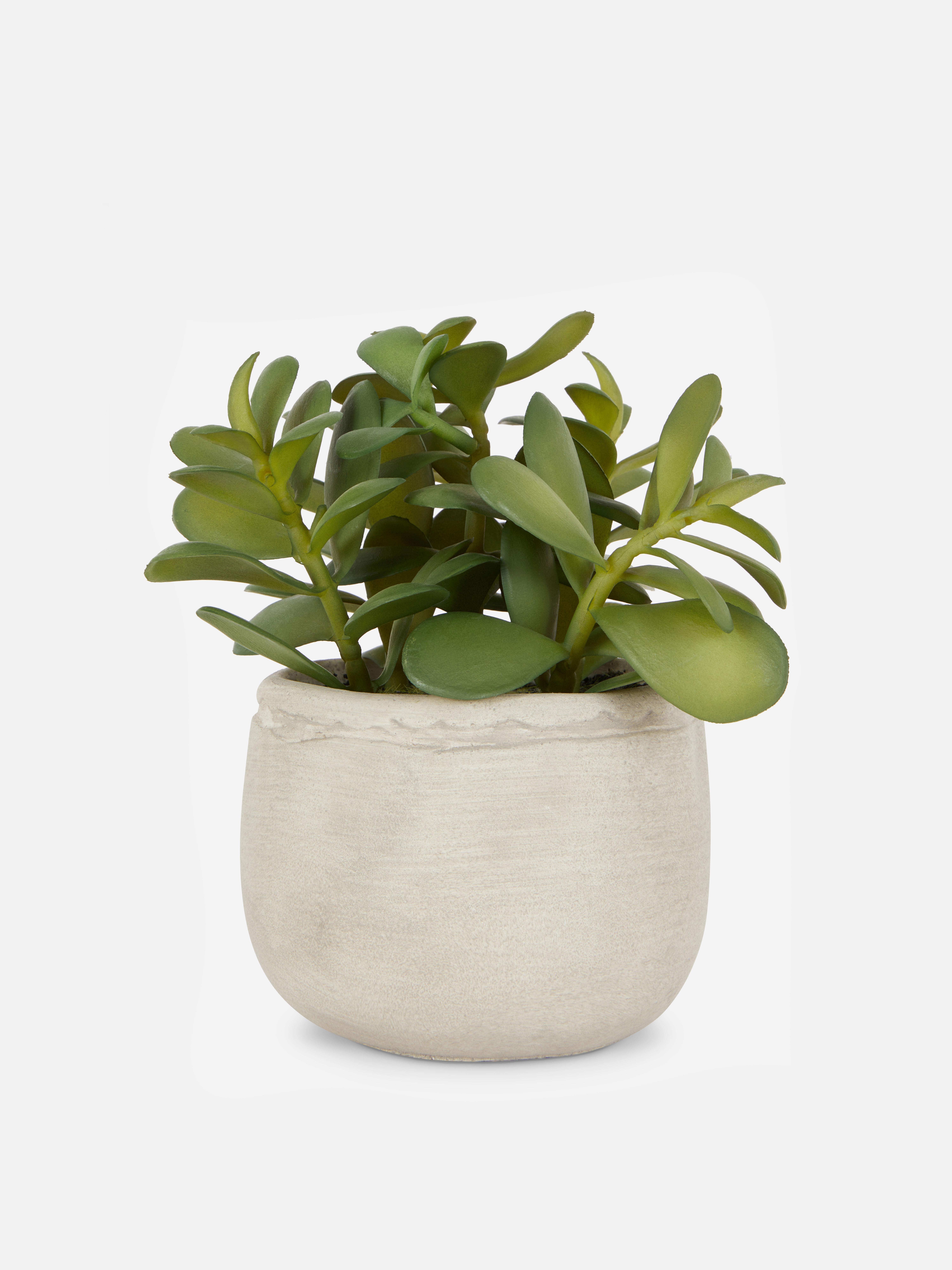 Grey Faux Plant in Stone Effect Pot Primark