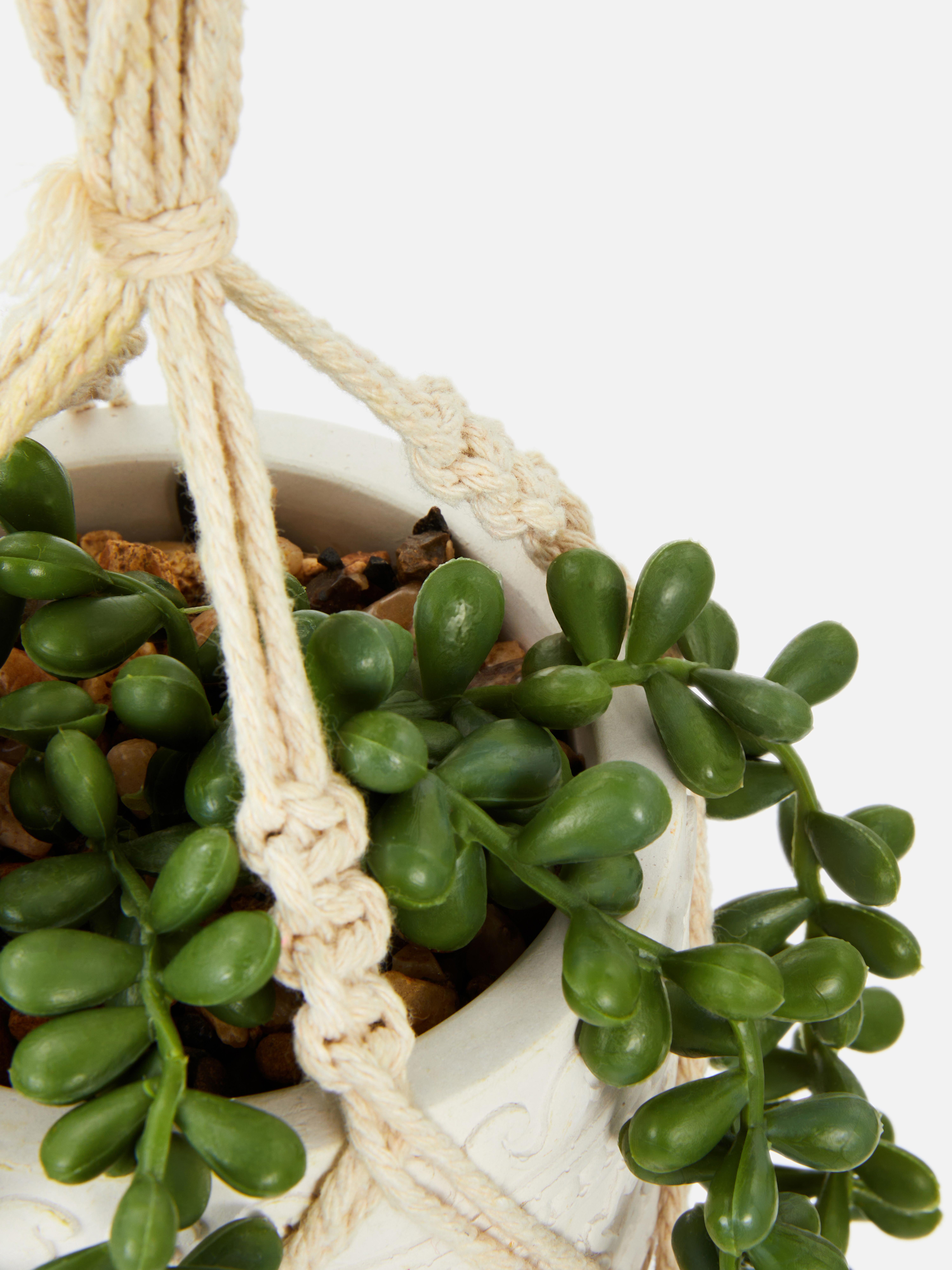 Natural Faux Succulent In Macrame Hanging Pot Primark