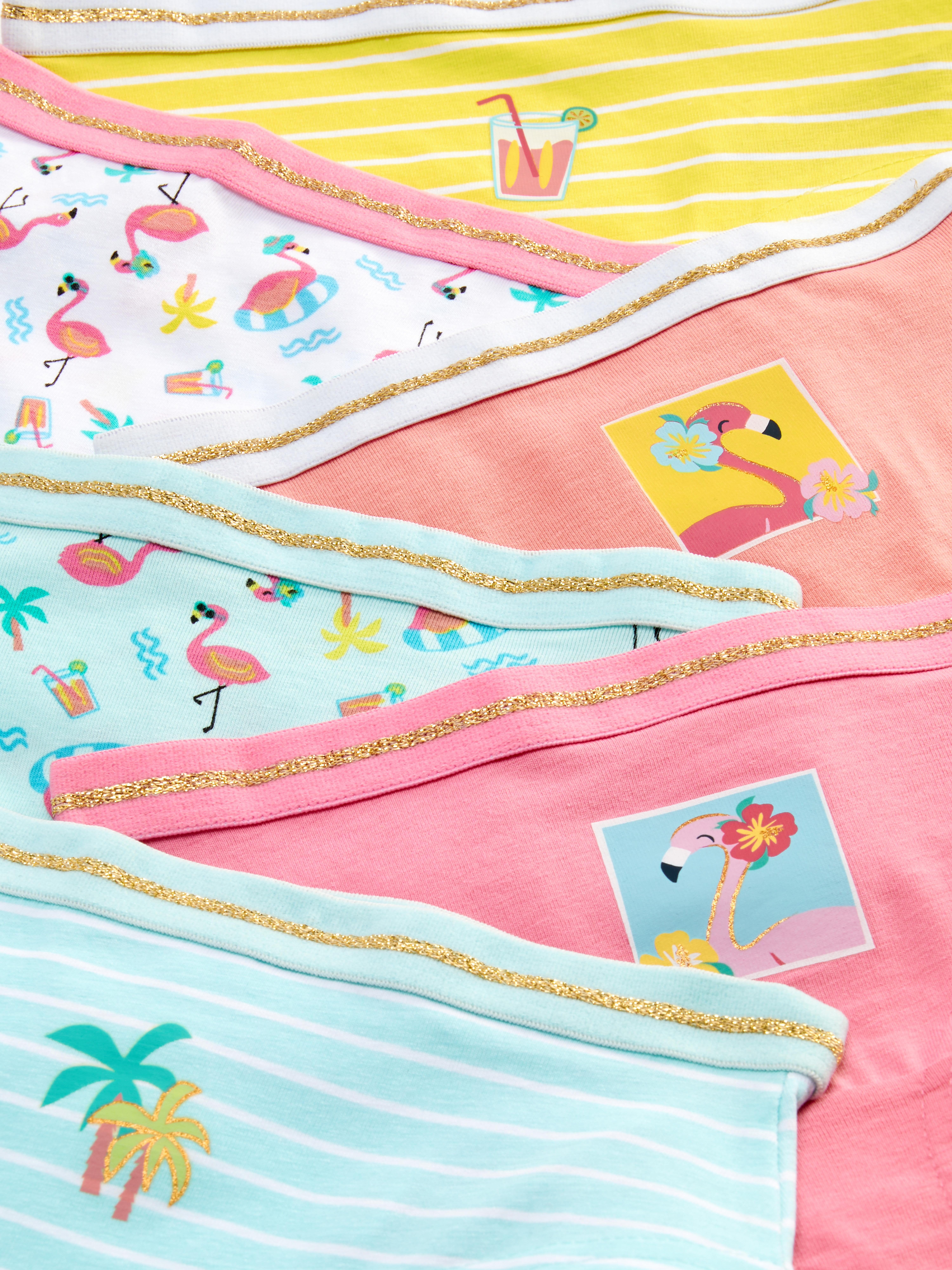 6pk Flamingo Print Briefs