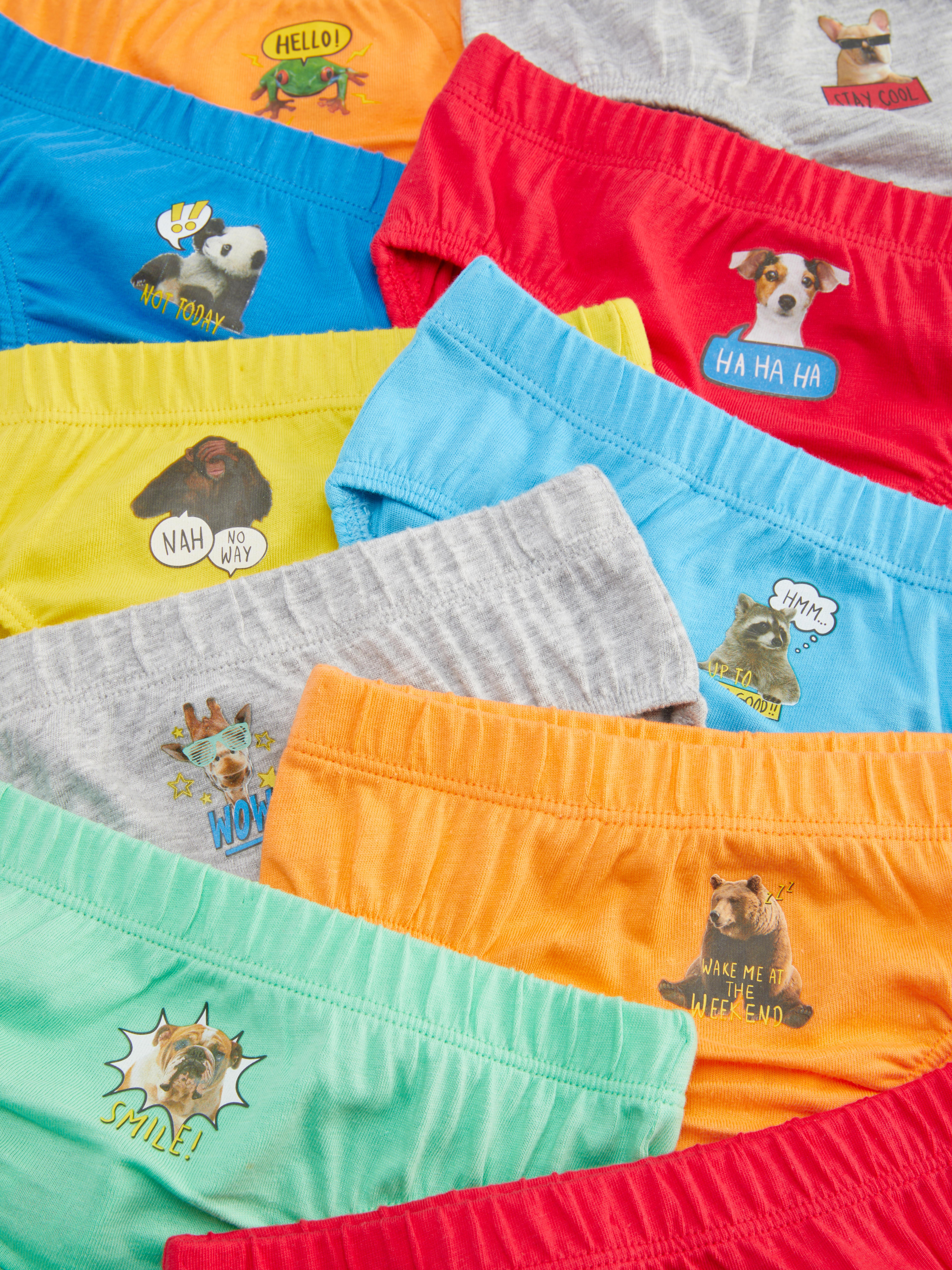 10pk Animal Graphic Briefs
