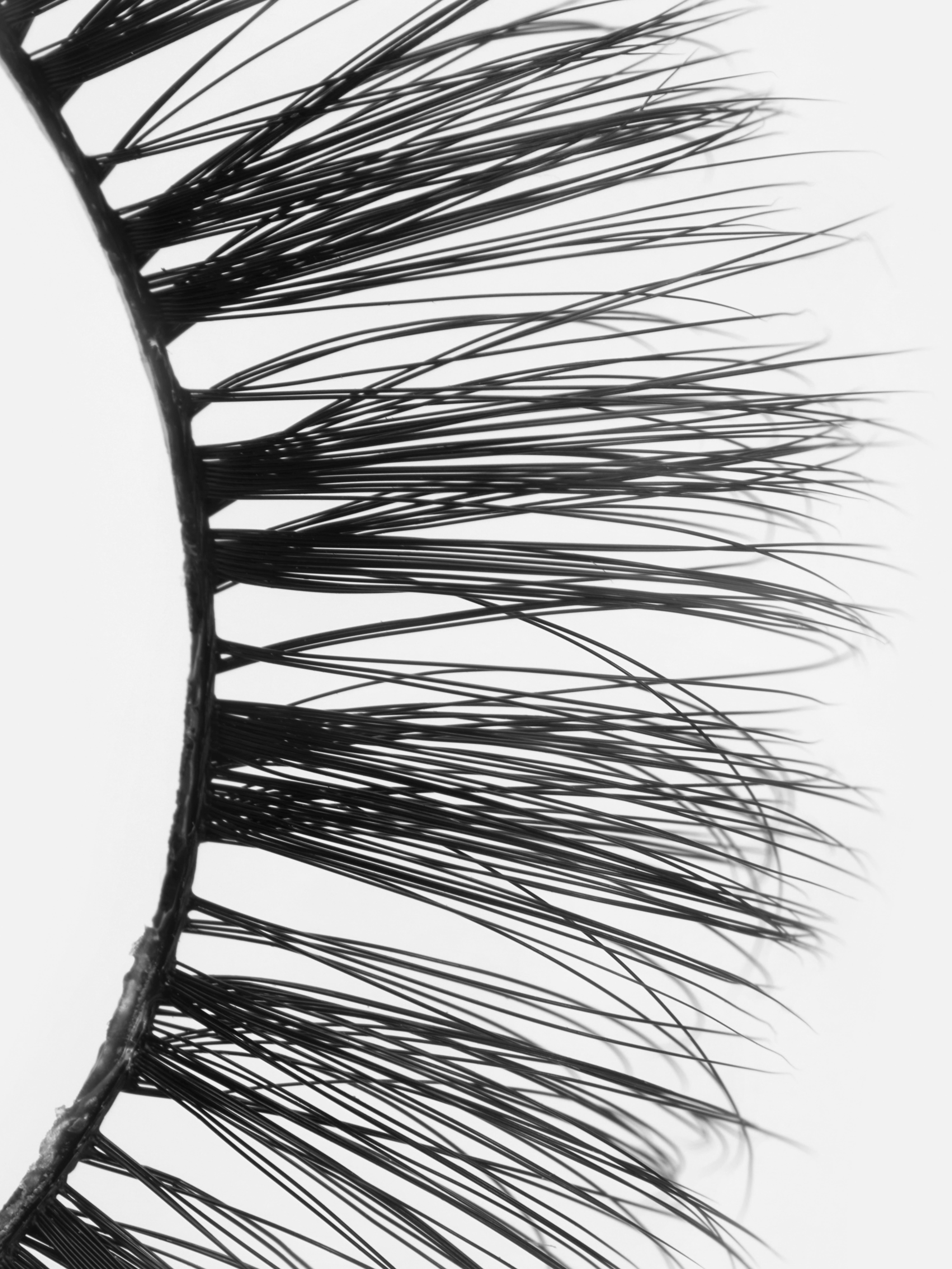 PS... Faux Lashes