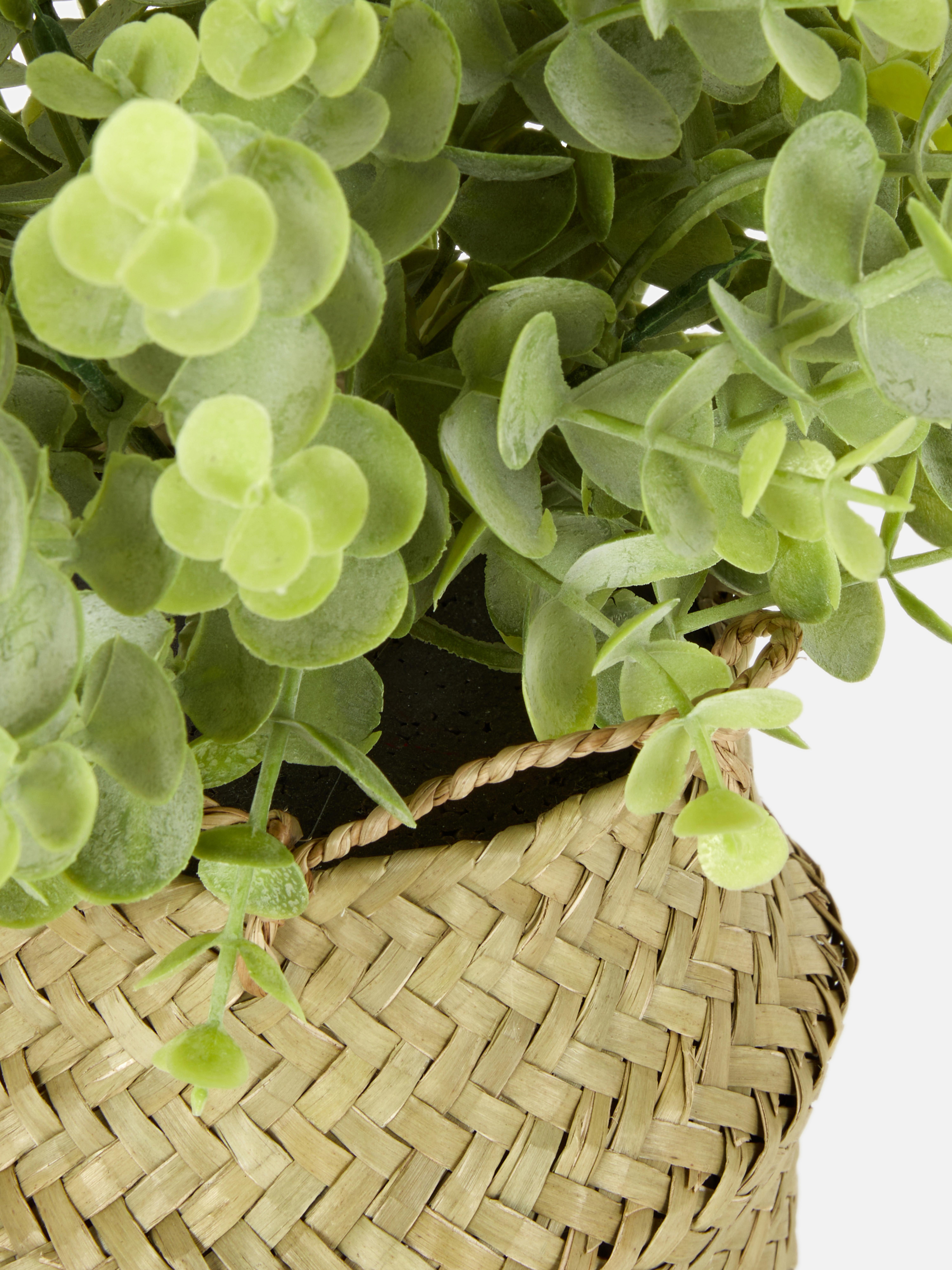 Faux Plants in Rattan Basket