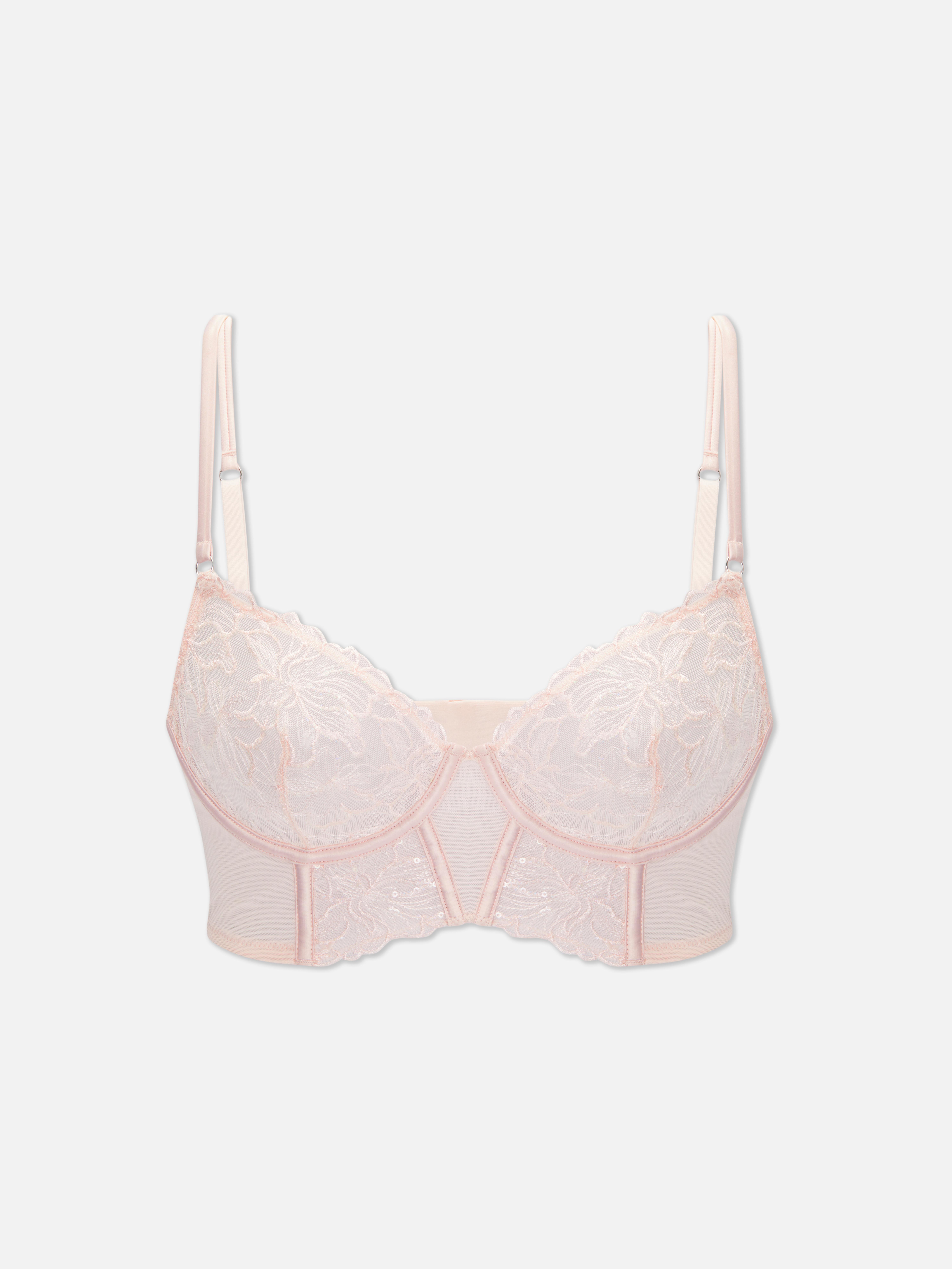 Lace and Mesh Longline Bra