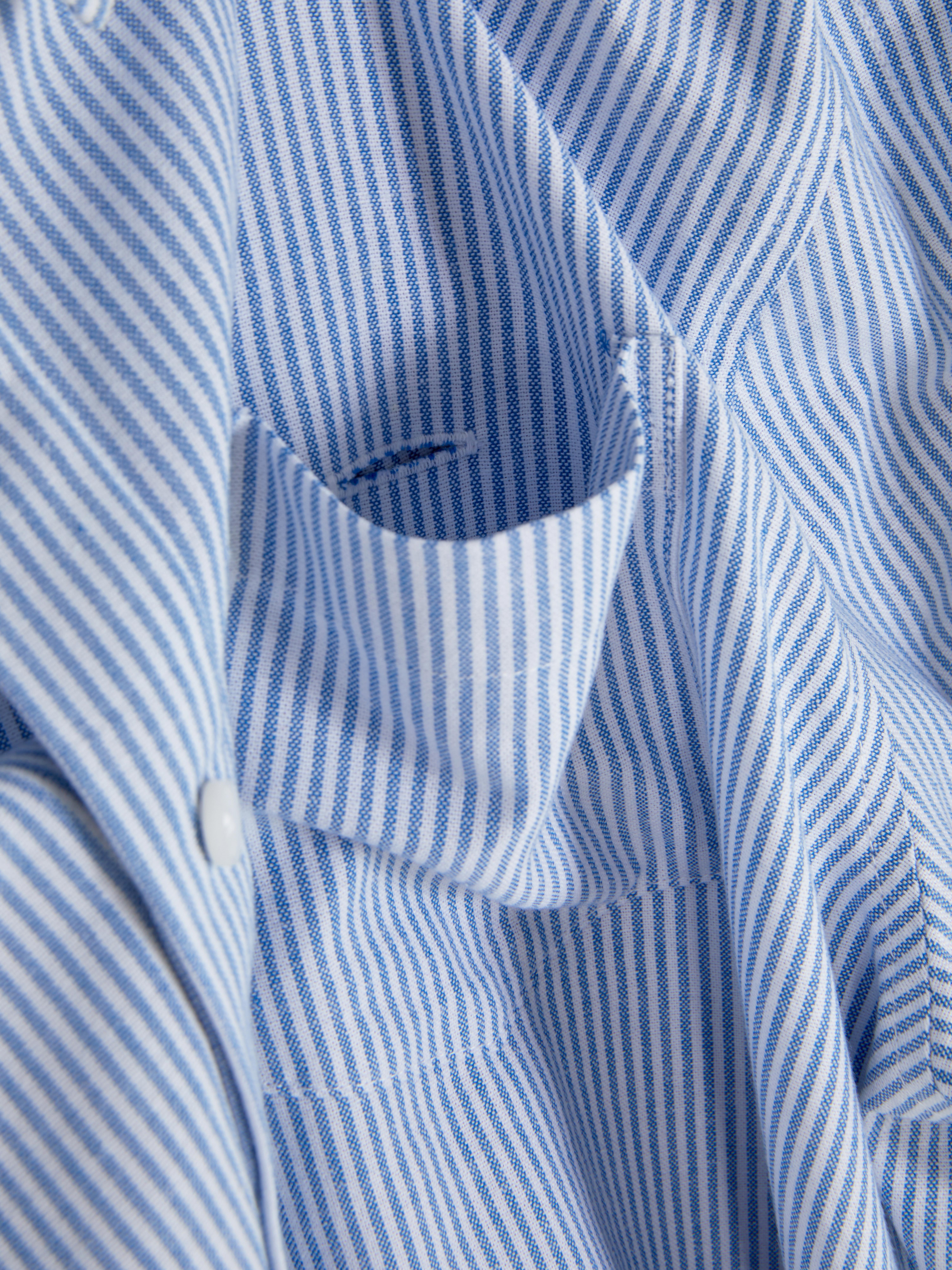 Camisa Oxford a rayas Adaptive