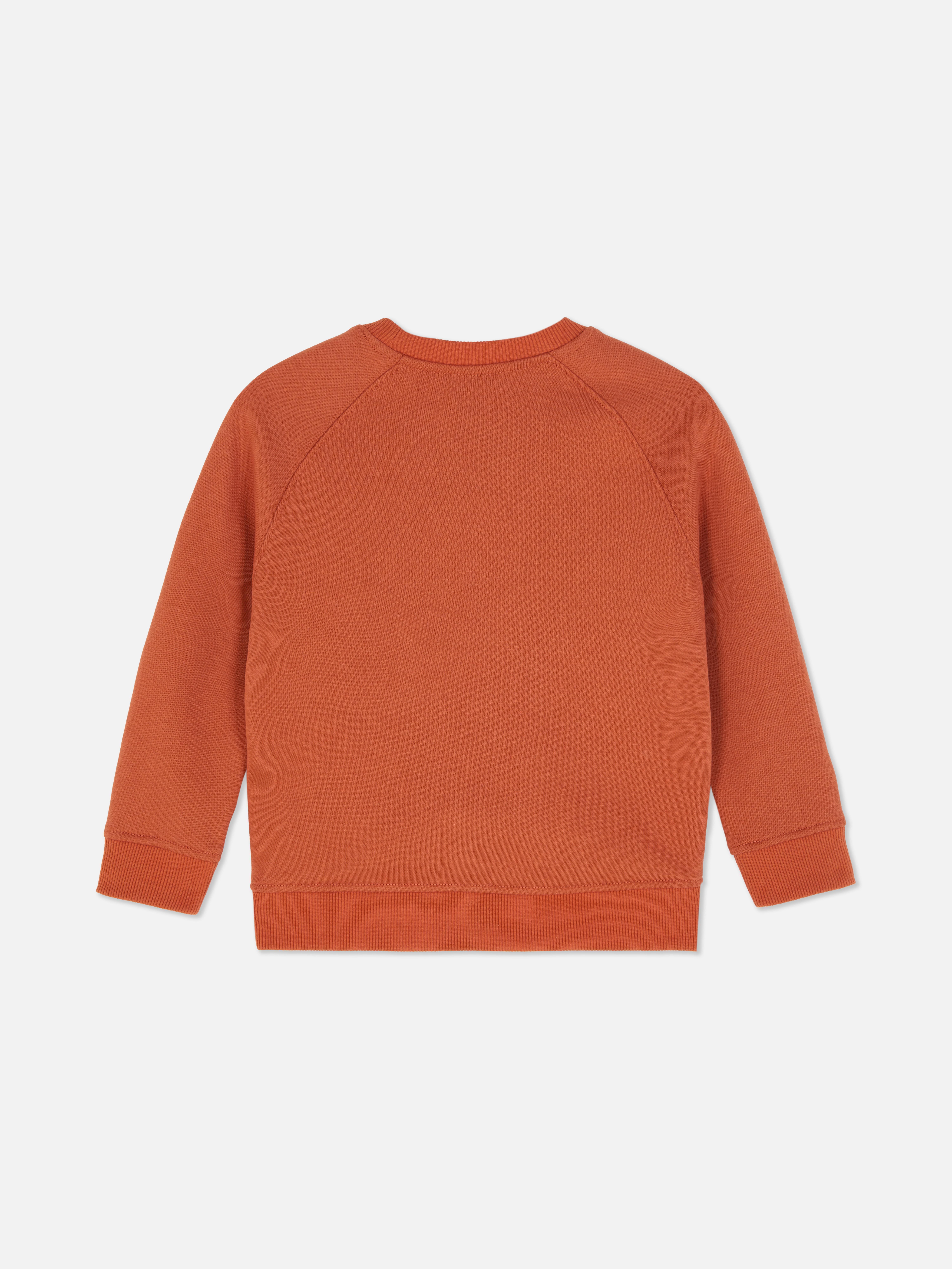 Sweatshirt mit Rundhalsausschnitt